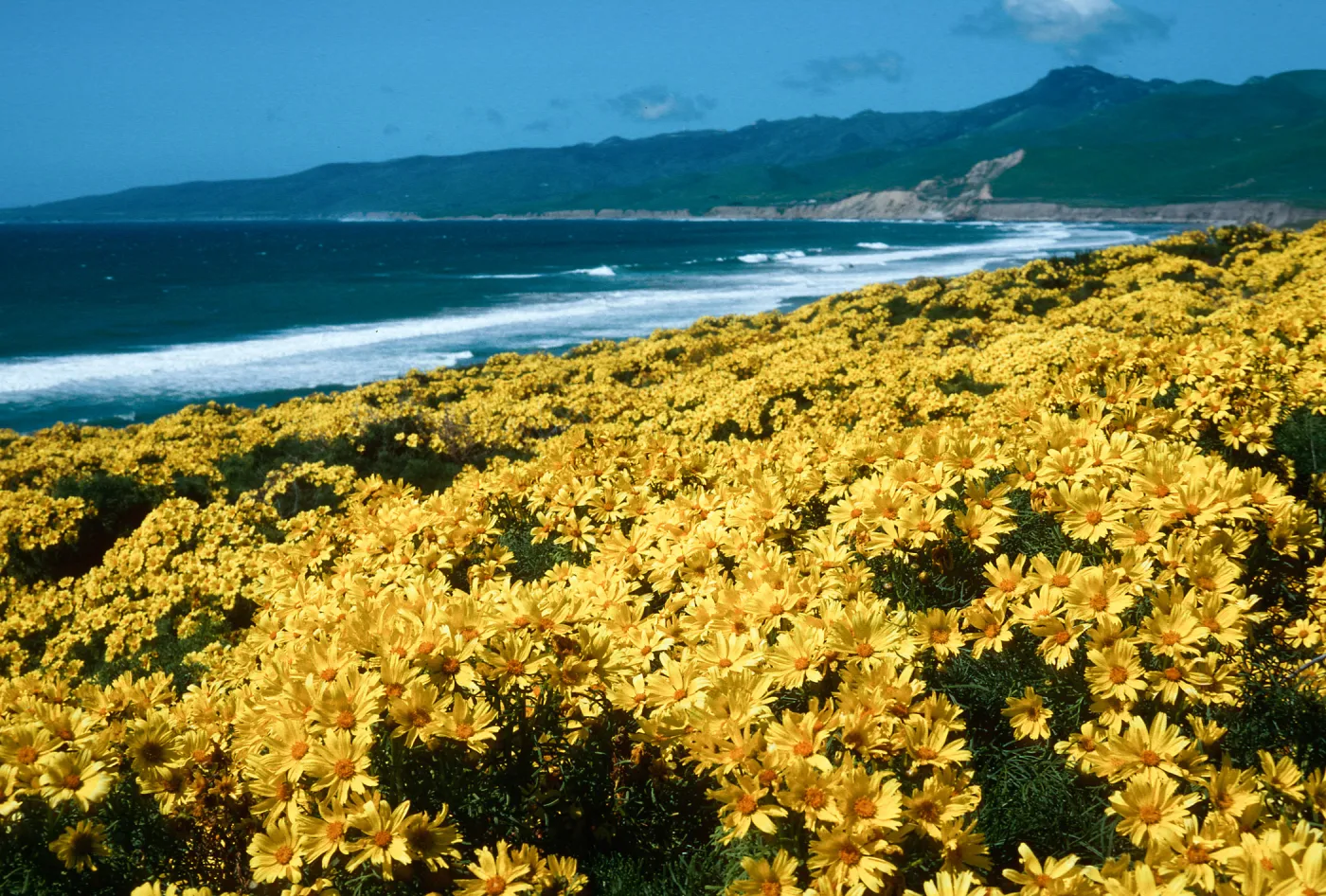Cojo, Jalama
