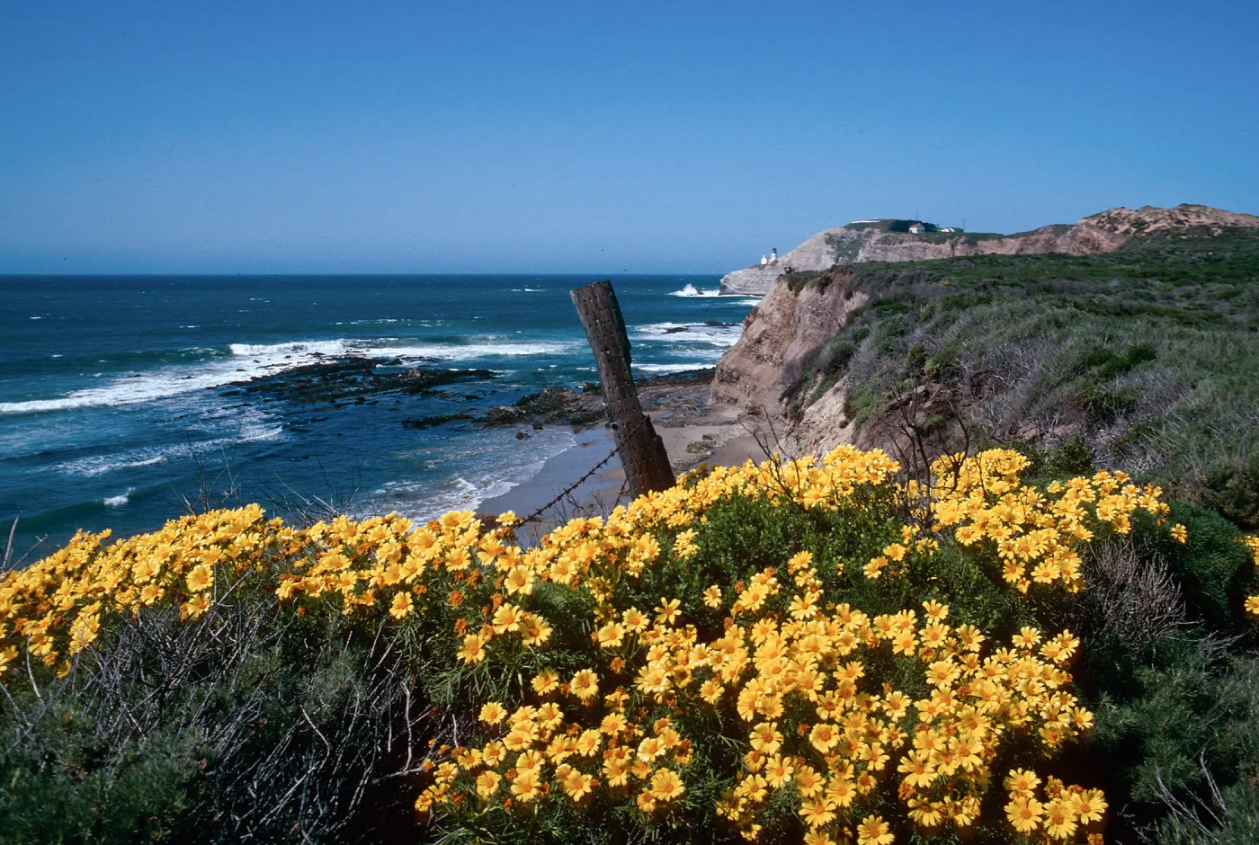 Cojo, Jalama