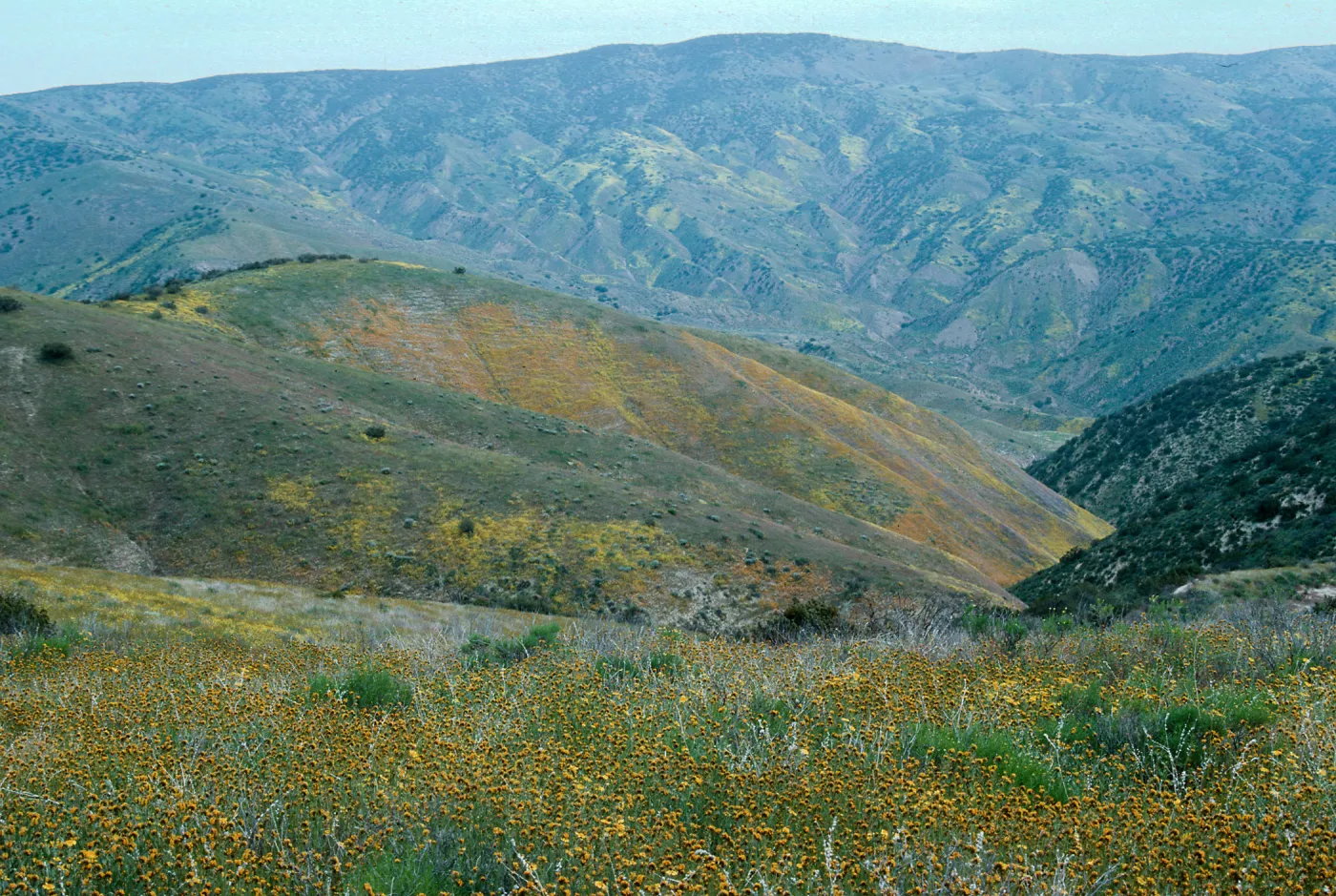 Caliente Mountain