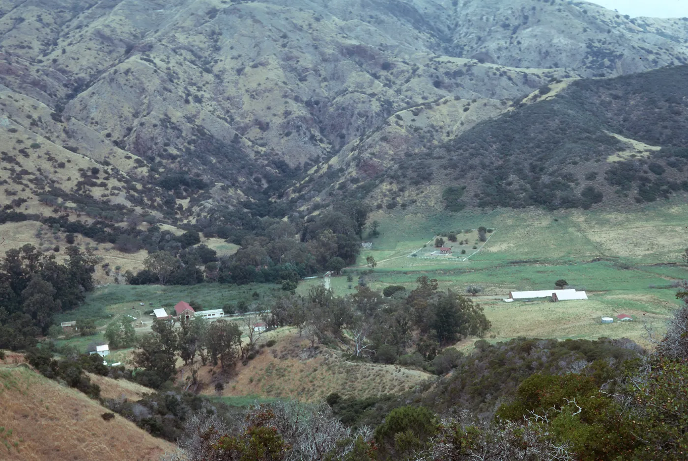 Santa Cruz Island, Stanton Ranch