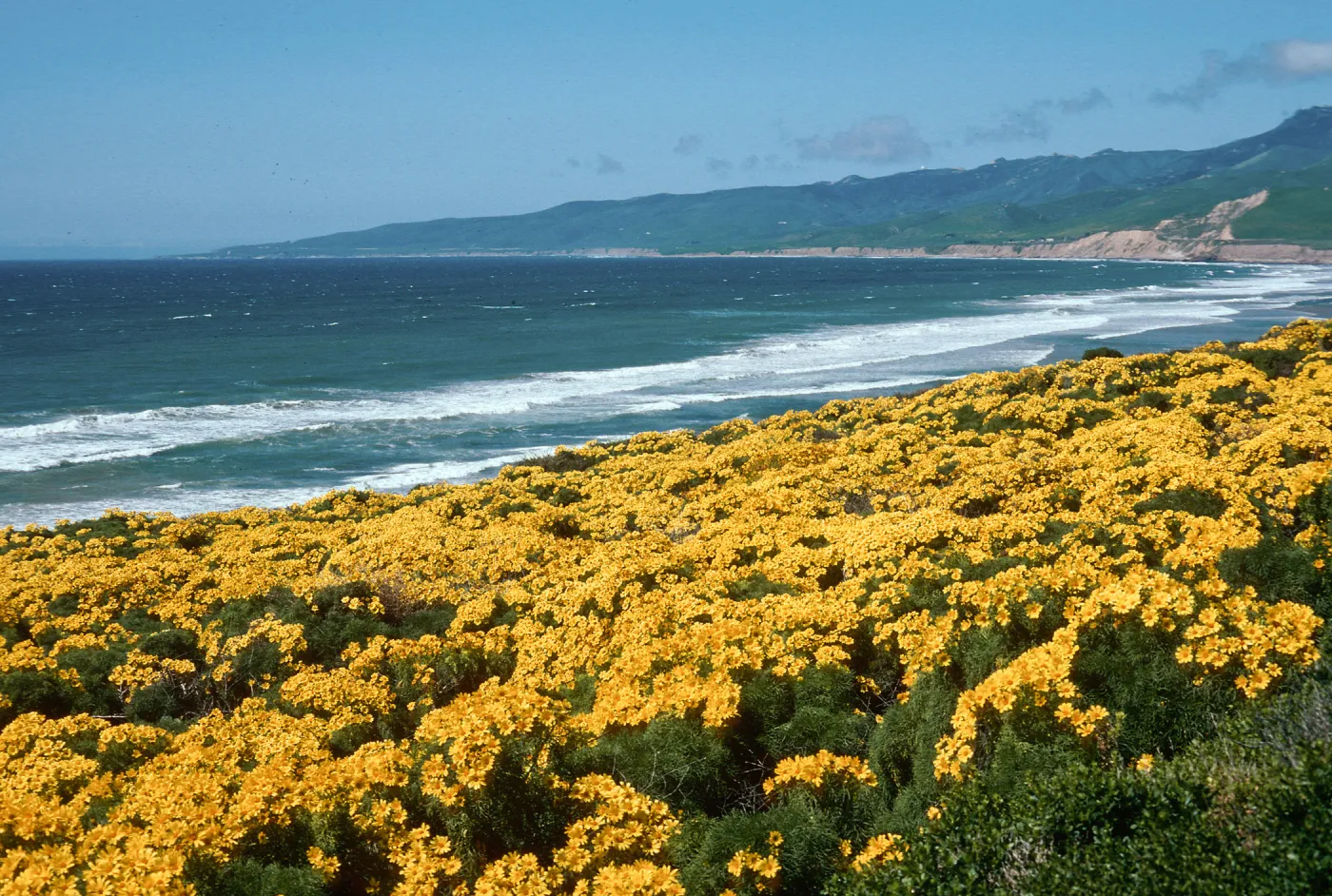 Jalama