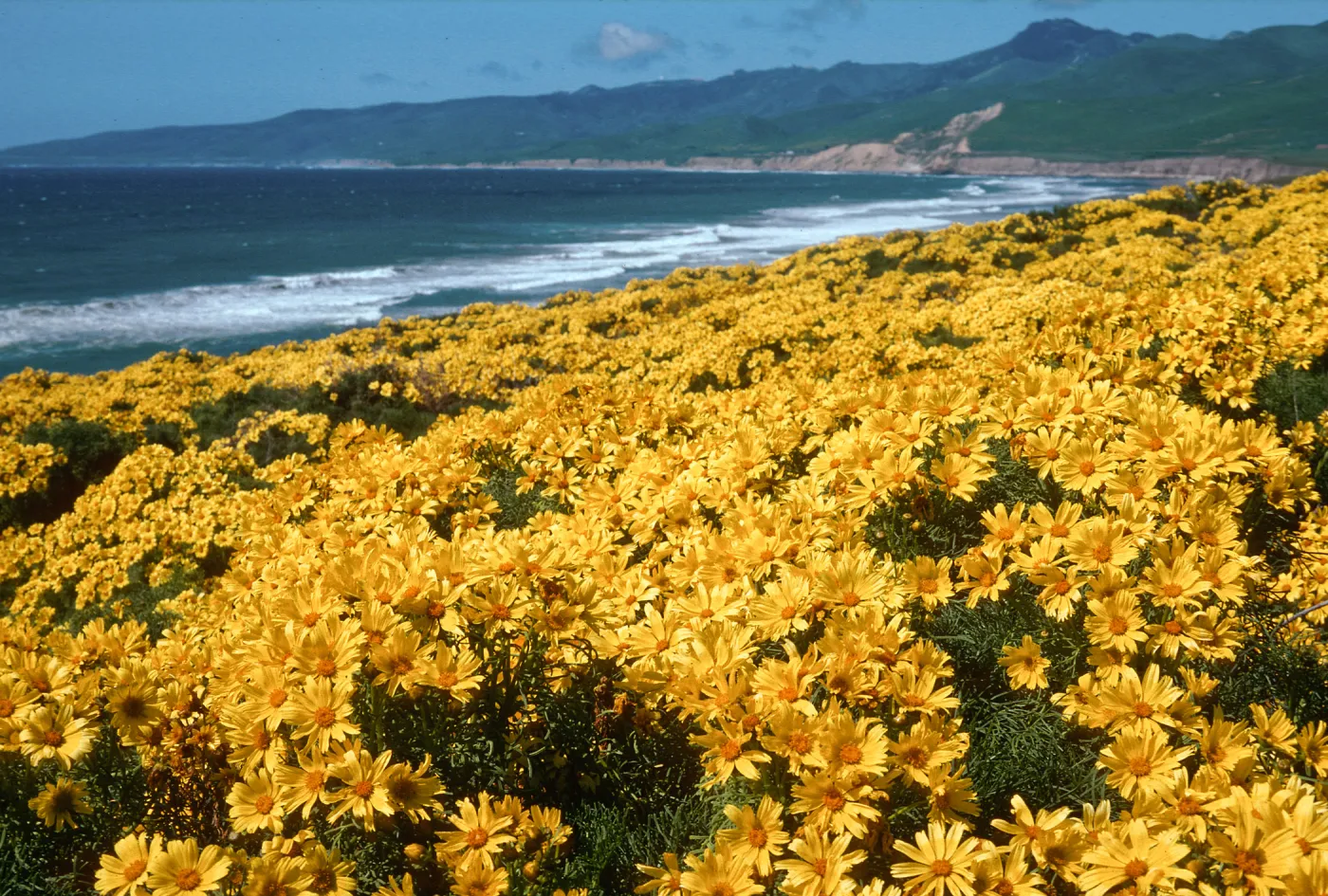Jalama