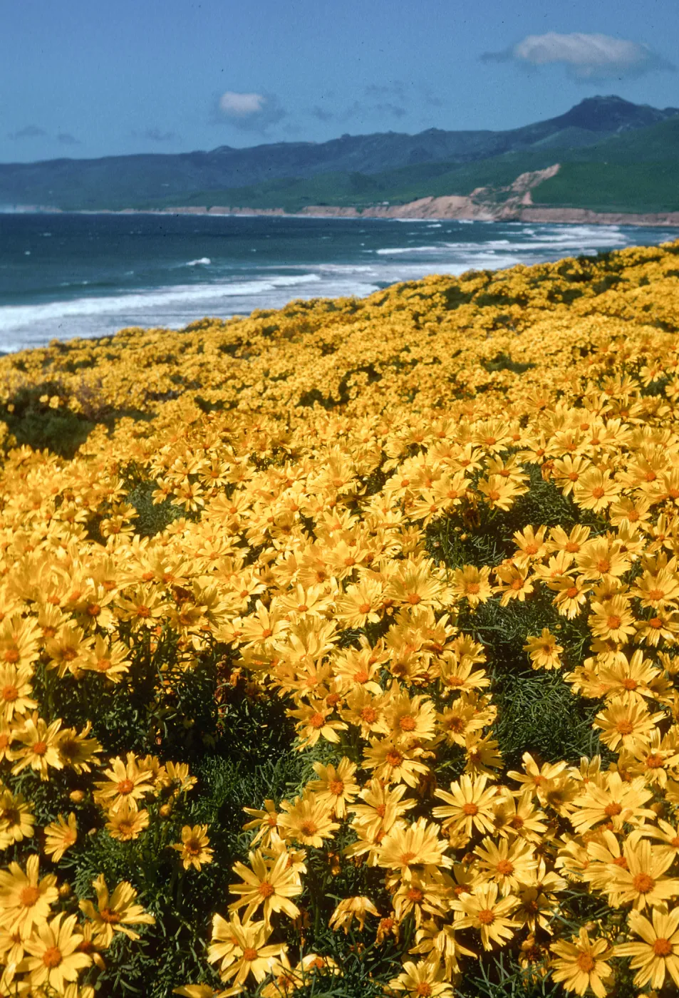 Jalama