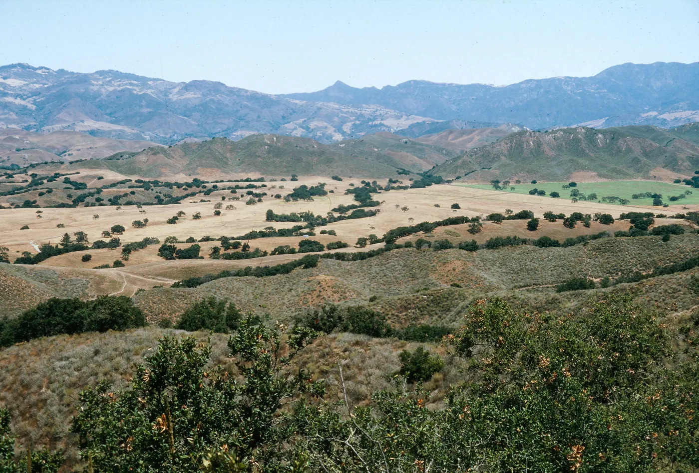 Rancho Felicia