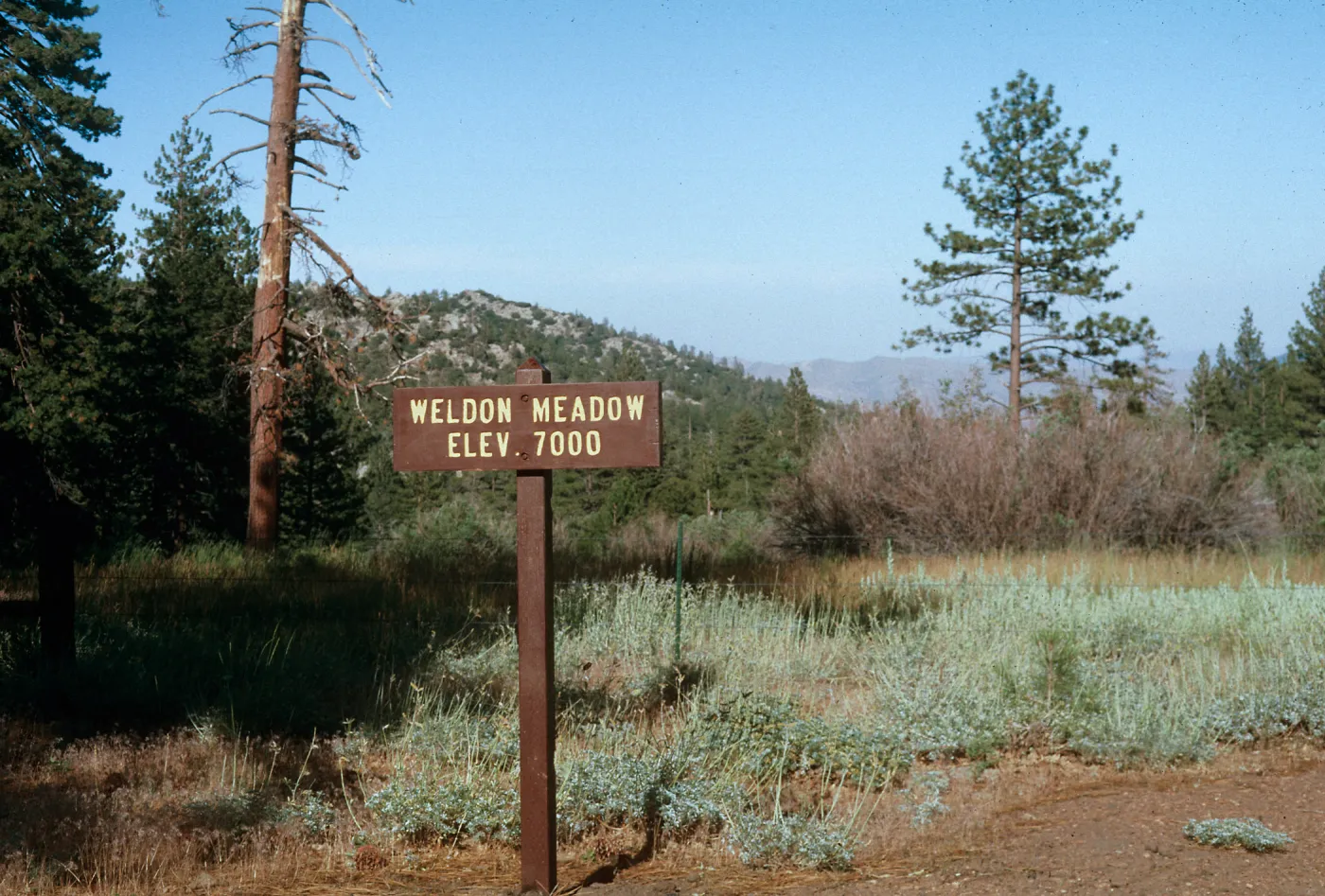 Piute Mountain (Weldon Meadow), Kern County