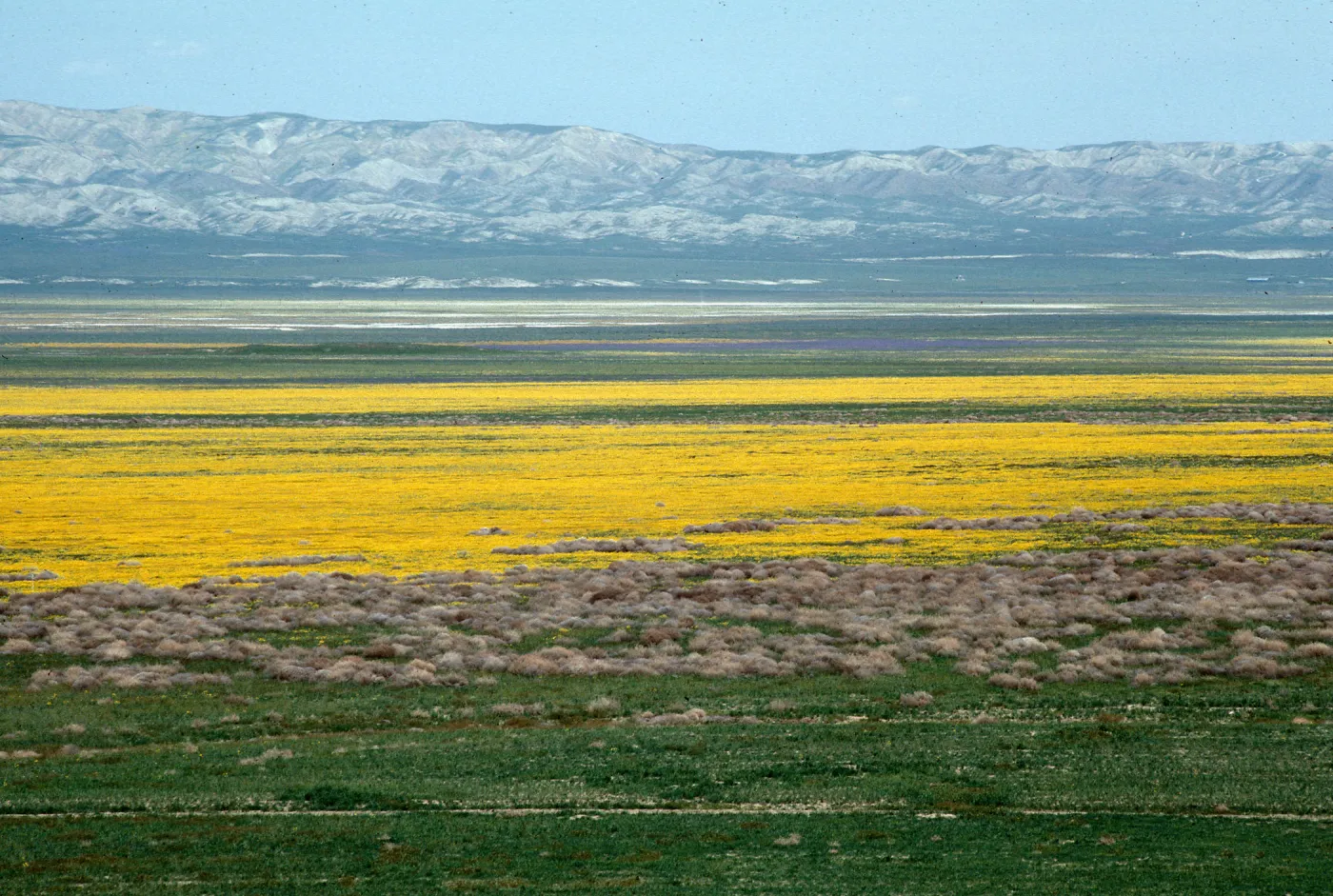 Soda Lake