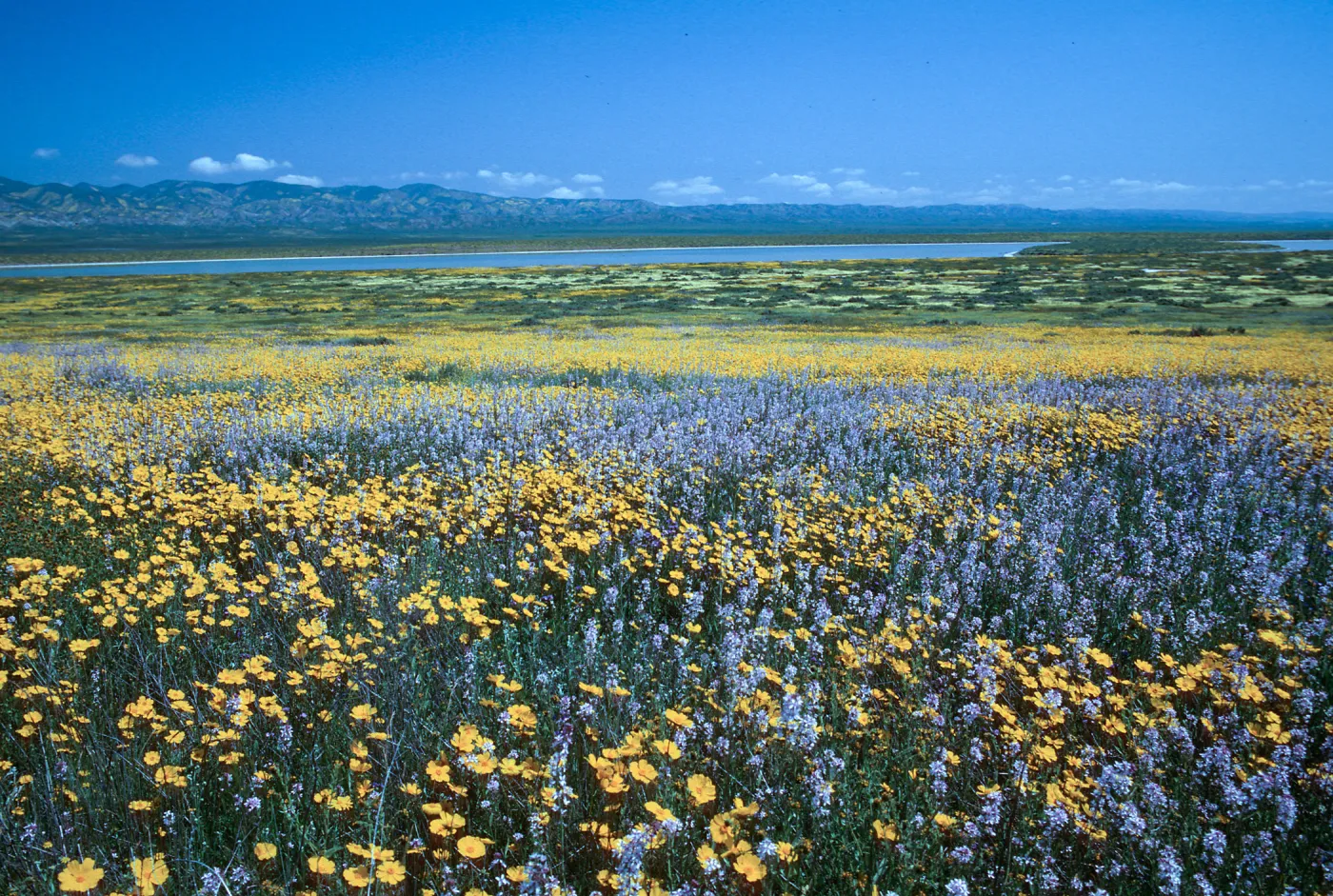 Soda Lake