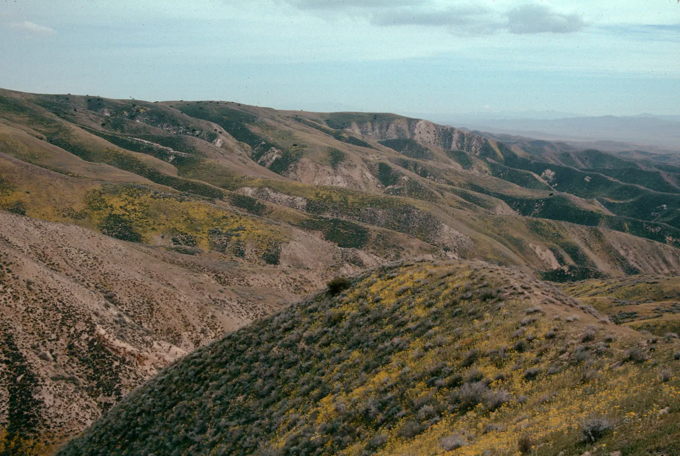 Temblor Range