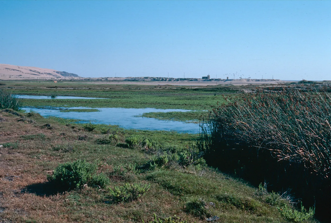 Nipomo