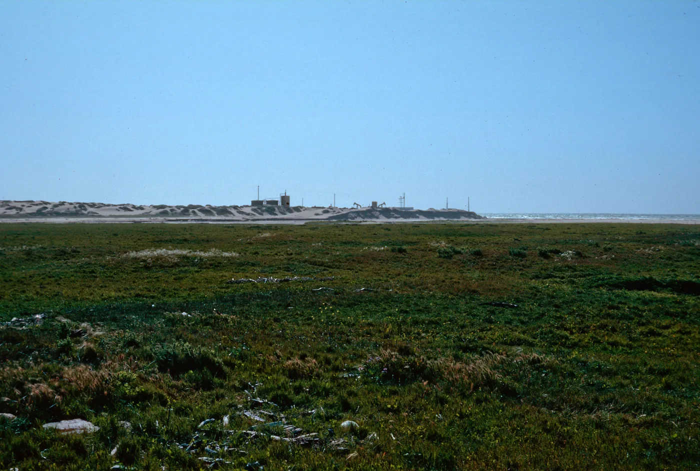 Guadalupe Dunes