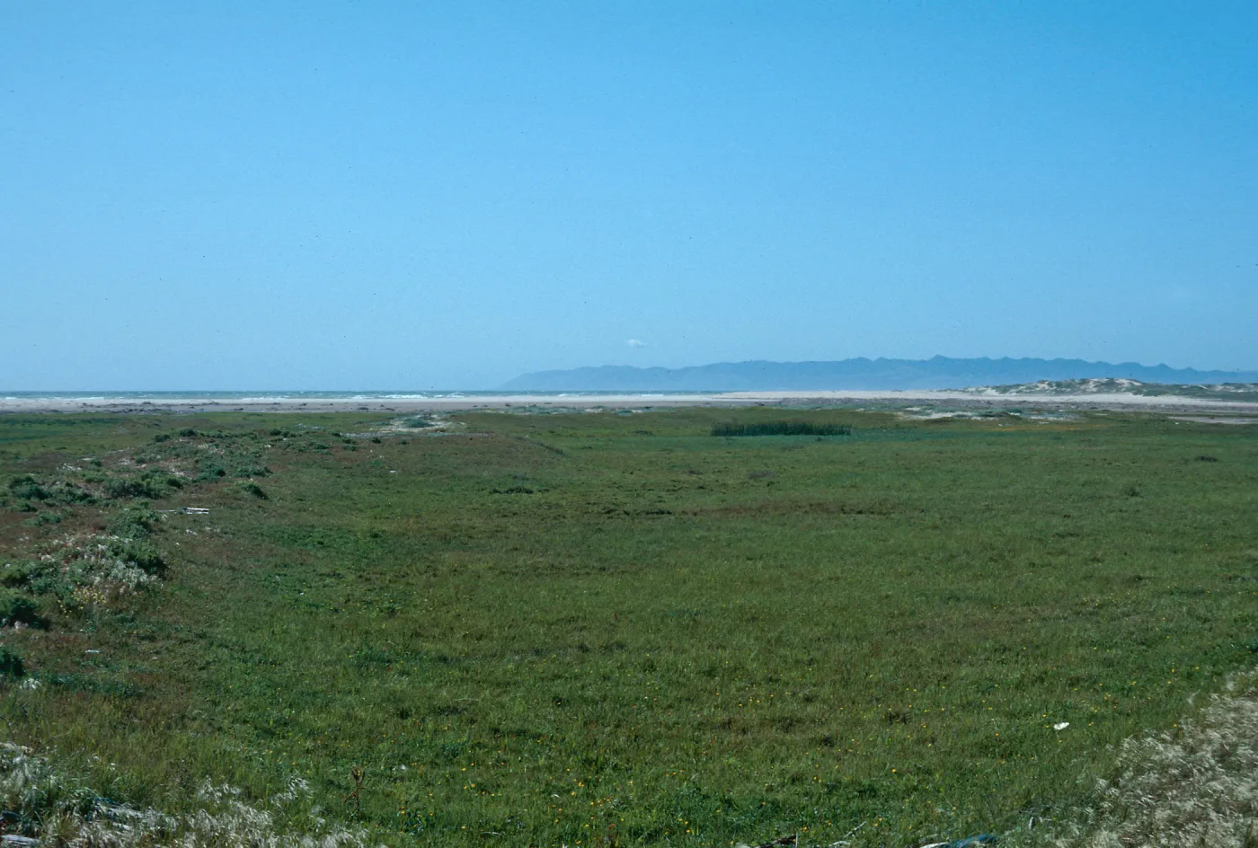 Guadalupe Dunes