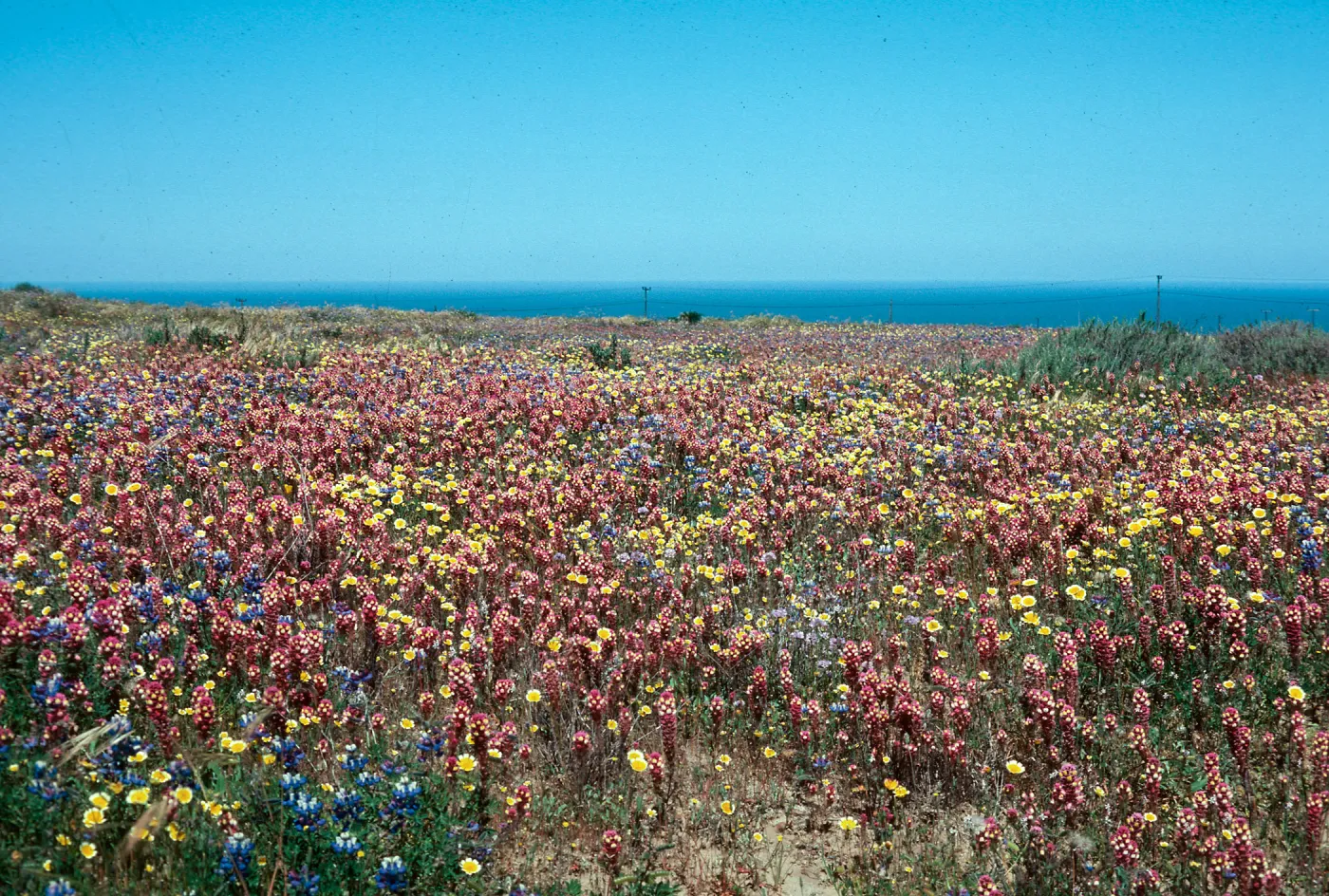 Vandenberg AFB