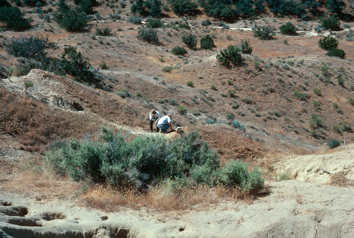 Ballinger Canyon