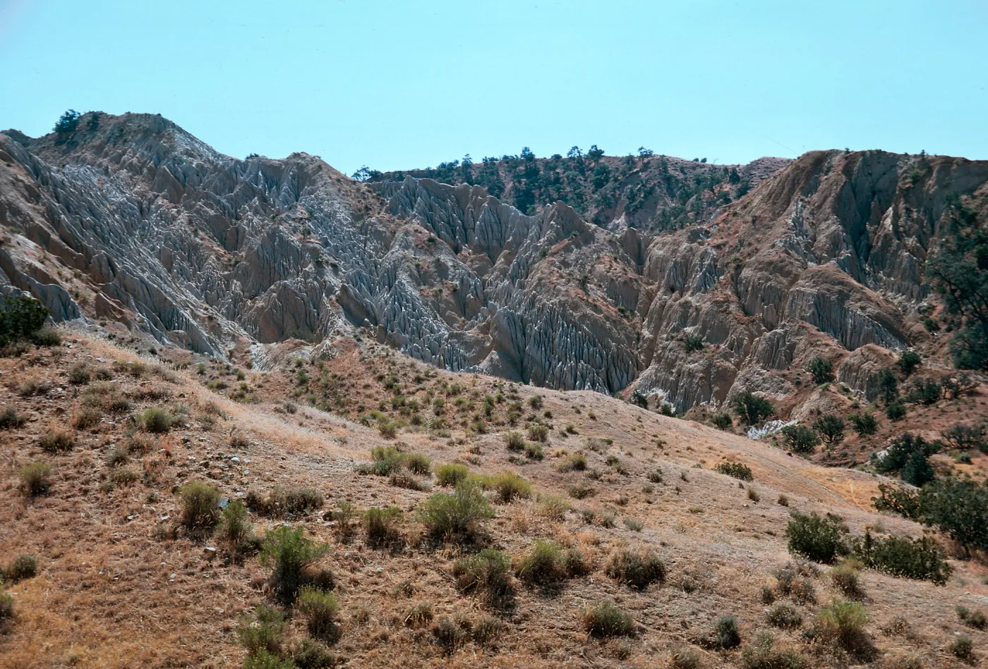 Ballinger Canyon, fossil