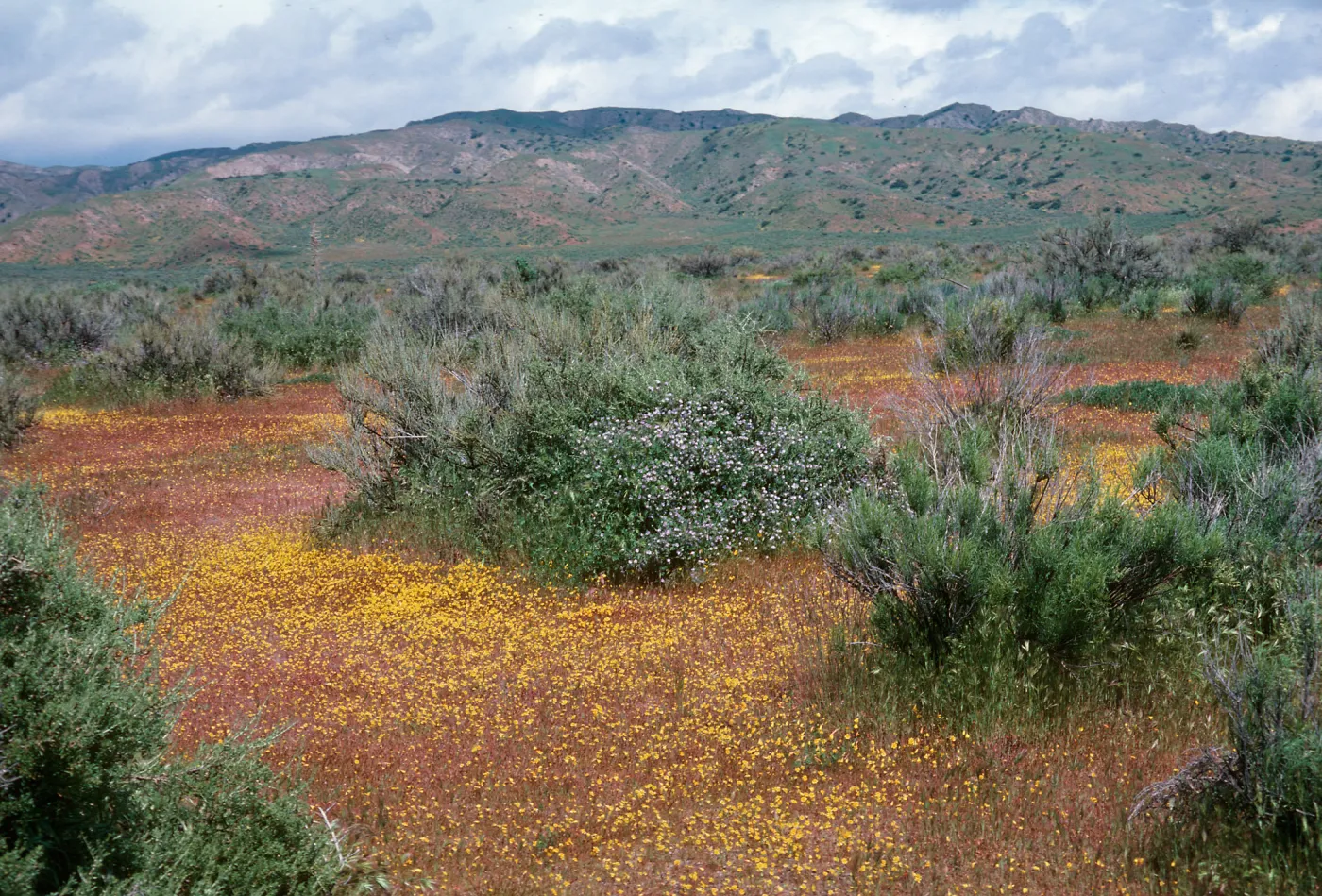 Ballinger Canyon