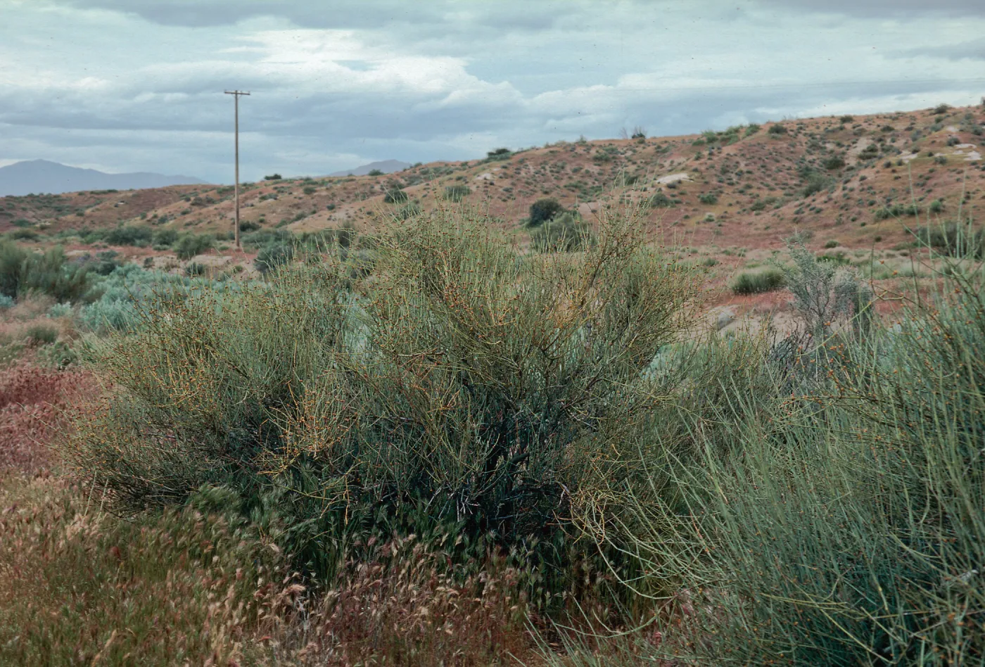 Ballinger Canyon