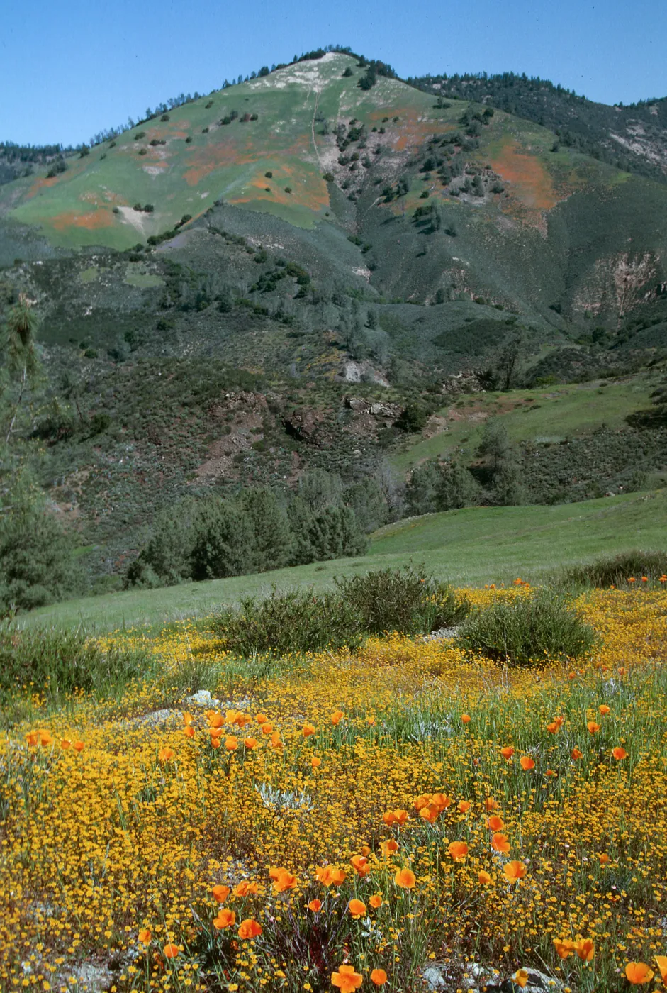 Figueroa Mt