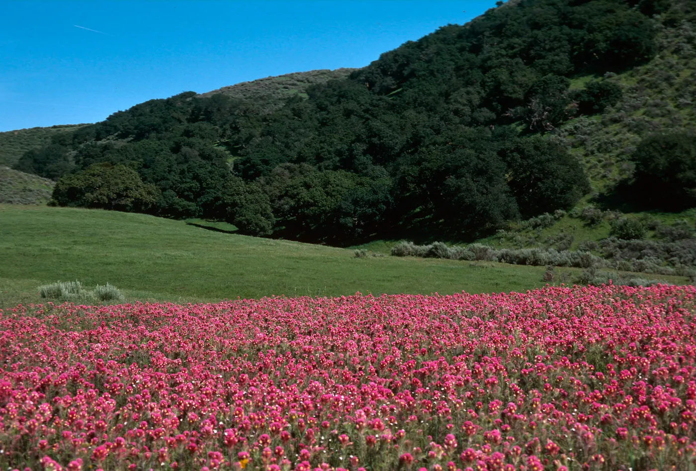 Sainz Ranch