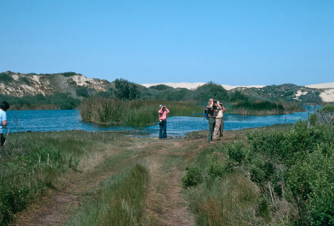 dune lakes