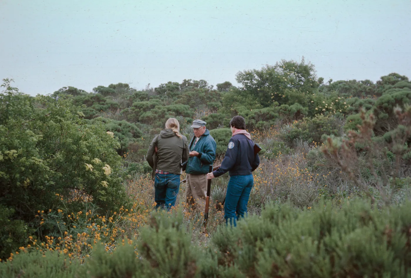 Dune Lakes