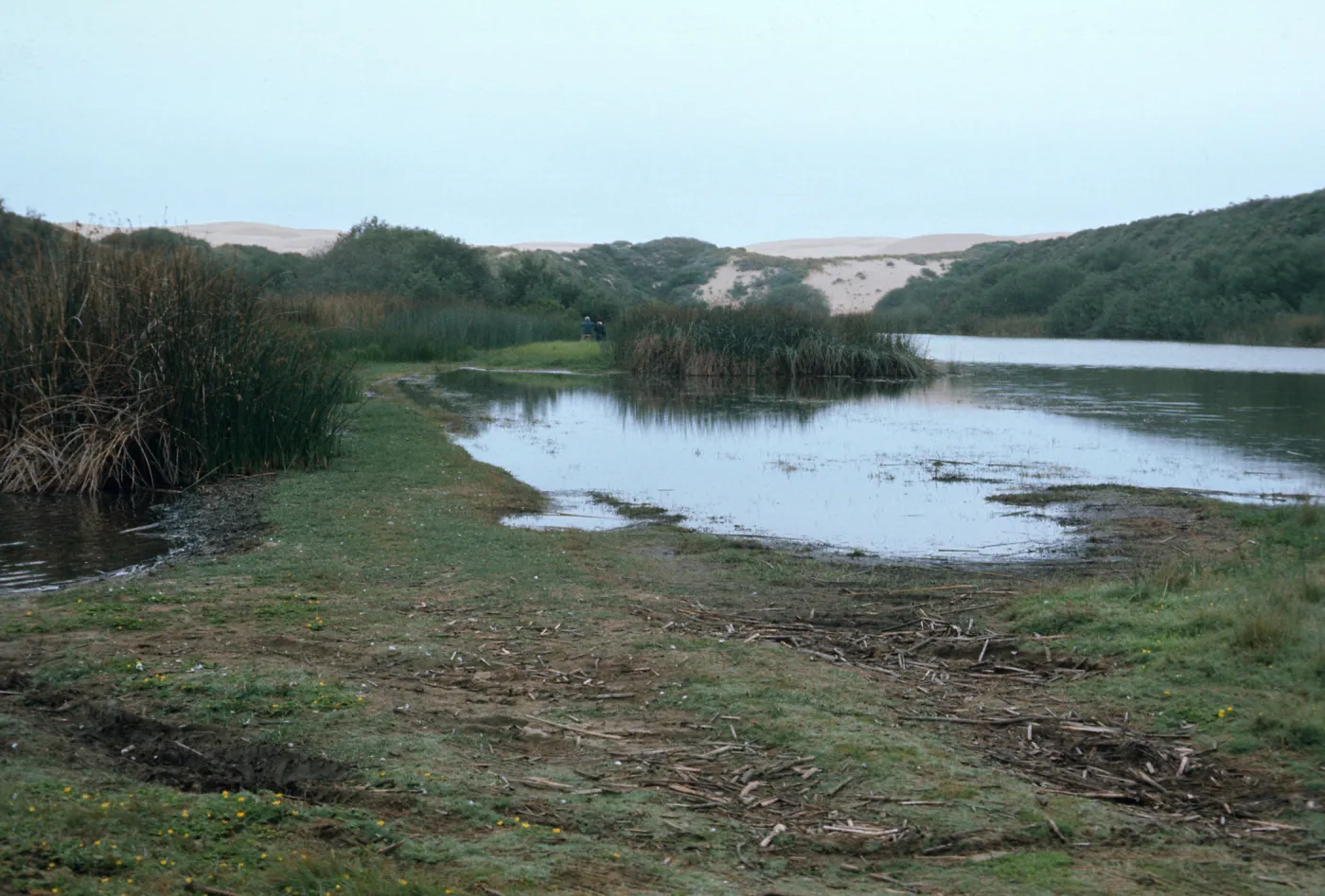 Dune Lakes