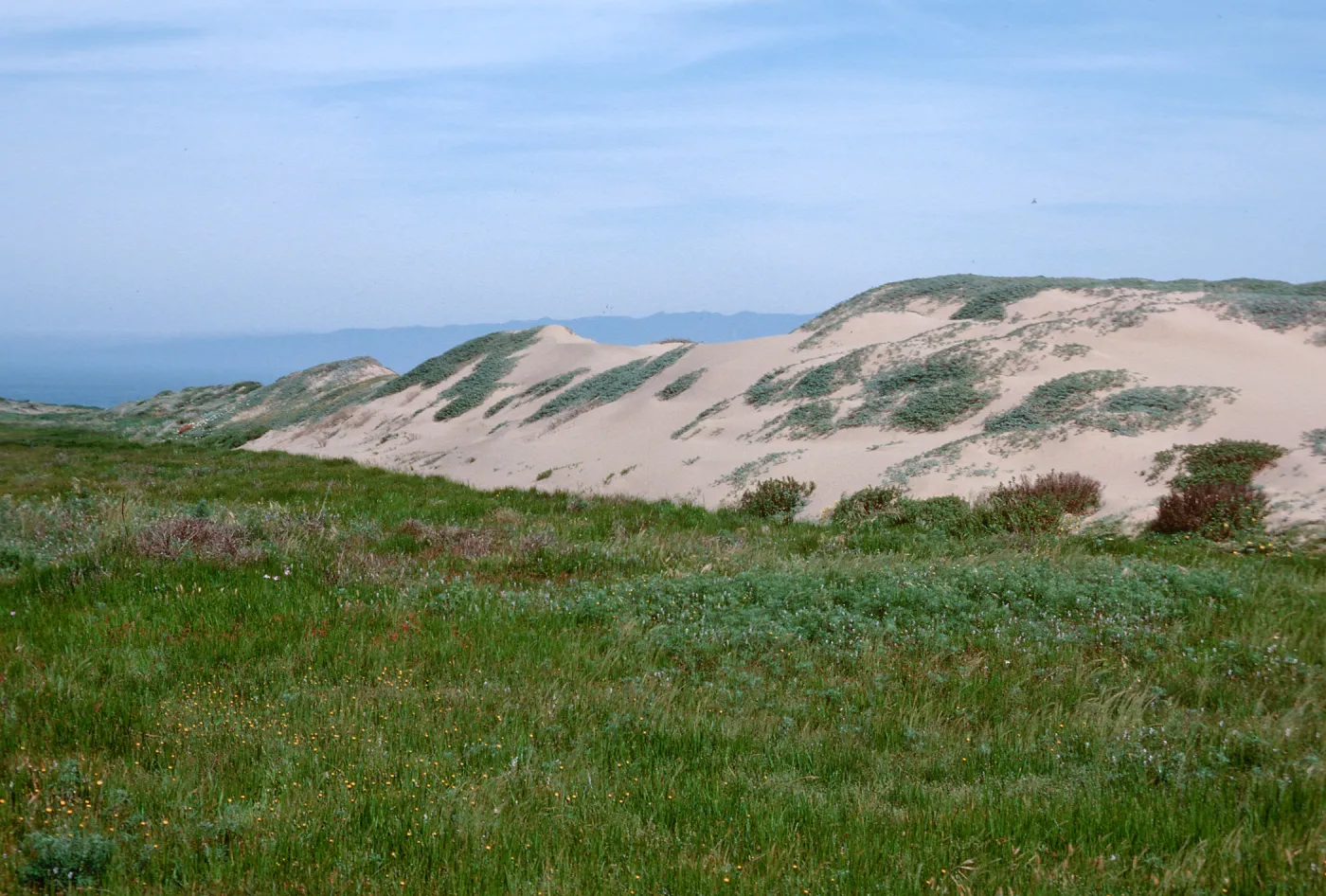Point Conception