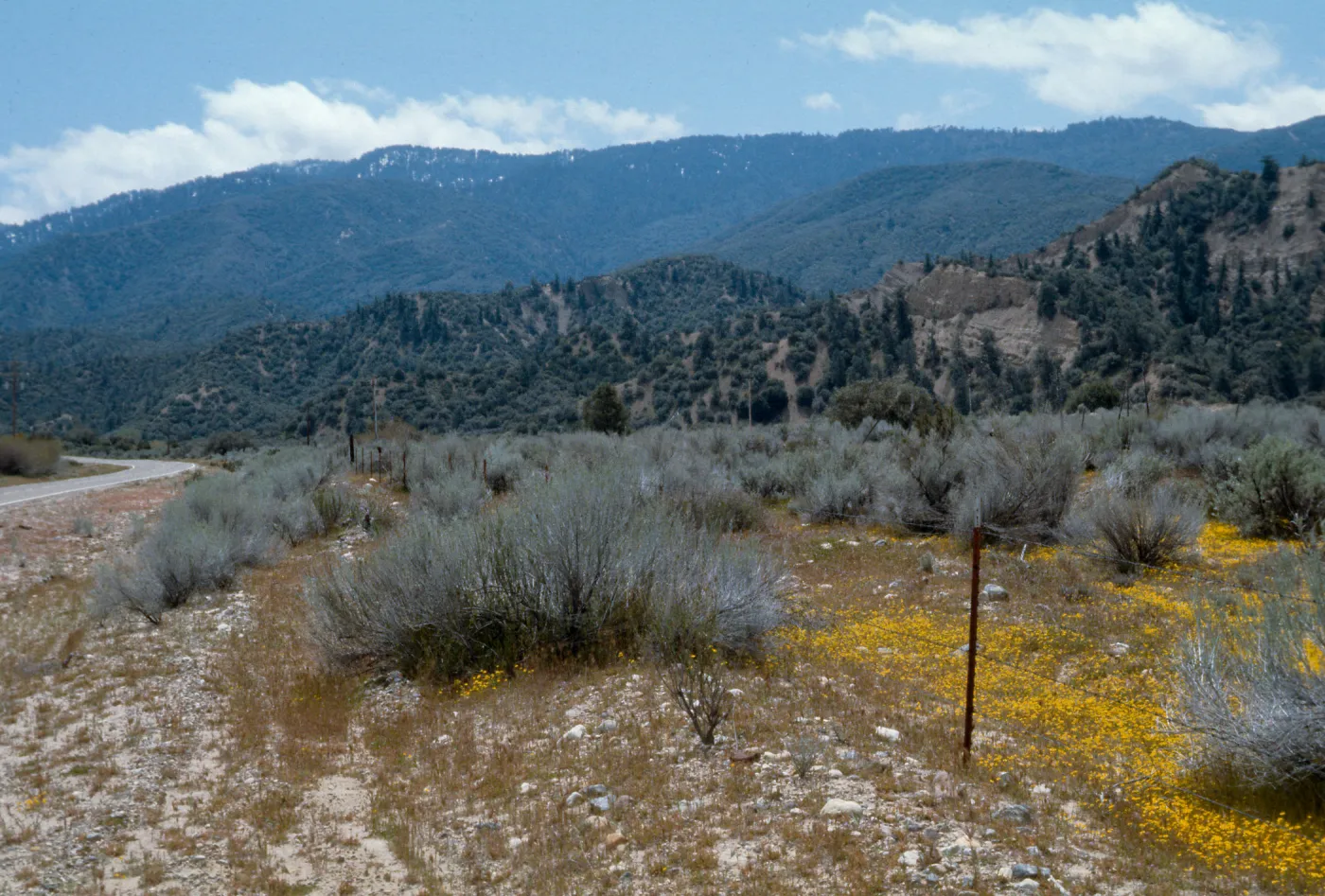 Ozena Valley