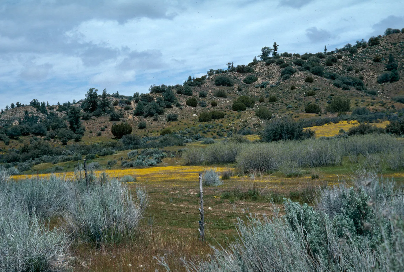 Ozena Valley