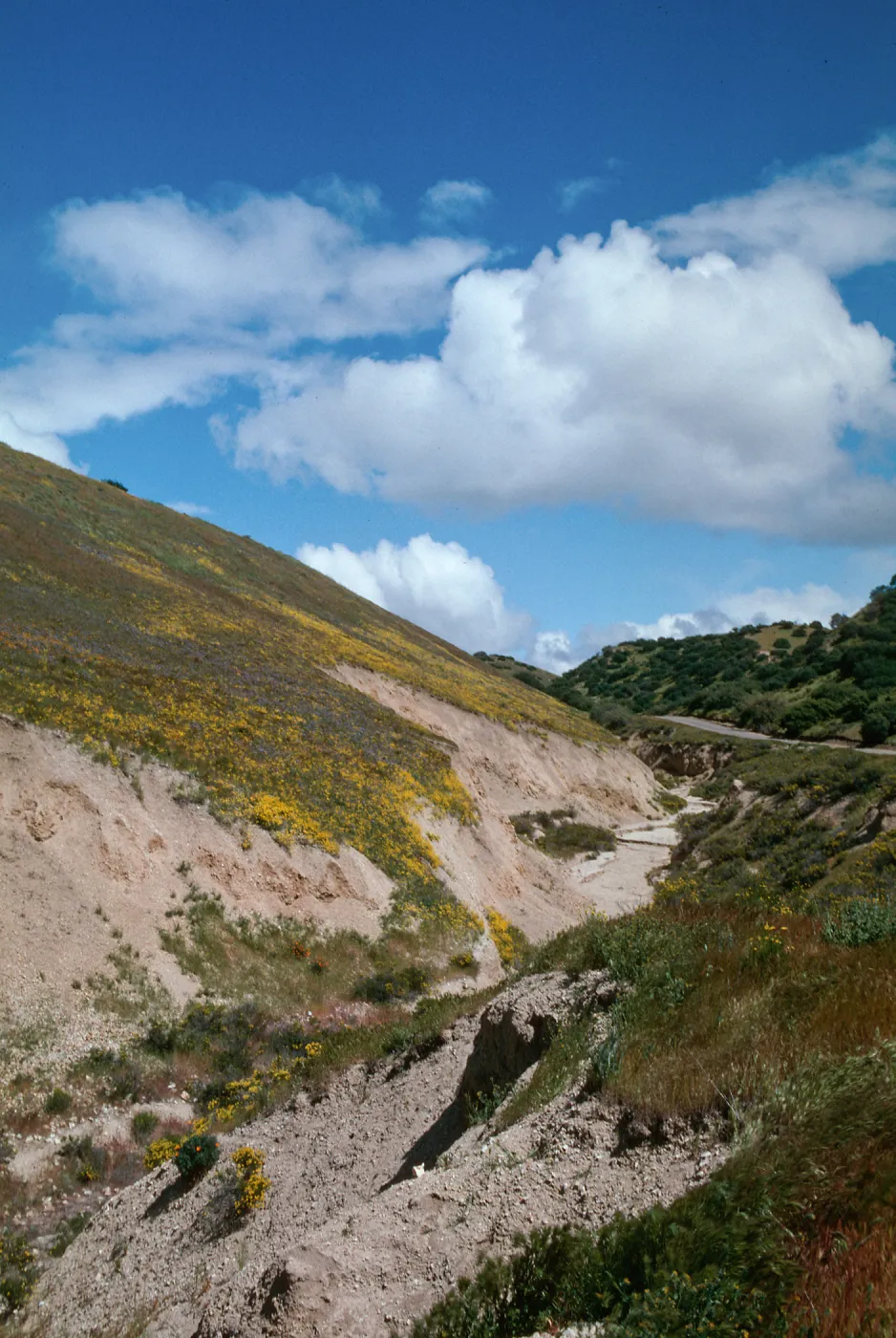 Klipstein Canyon