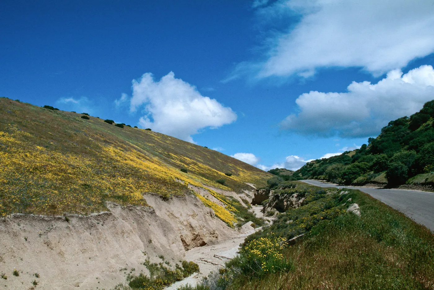 Klipstein Canyon