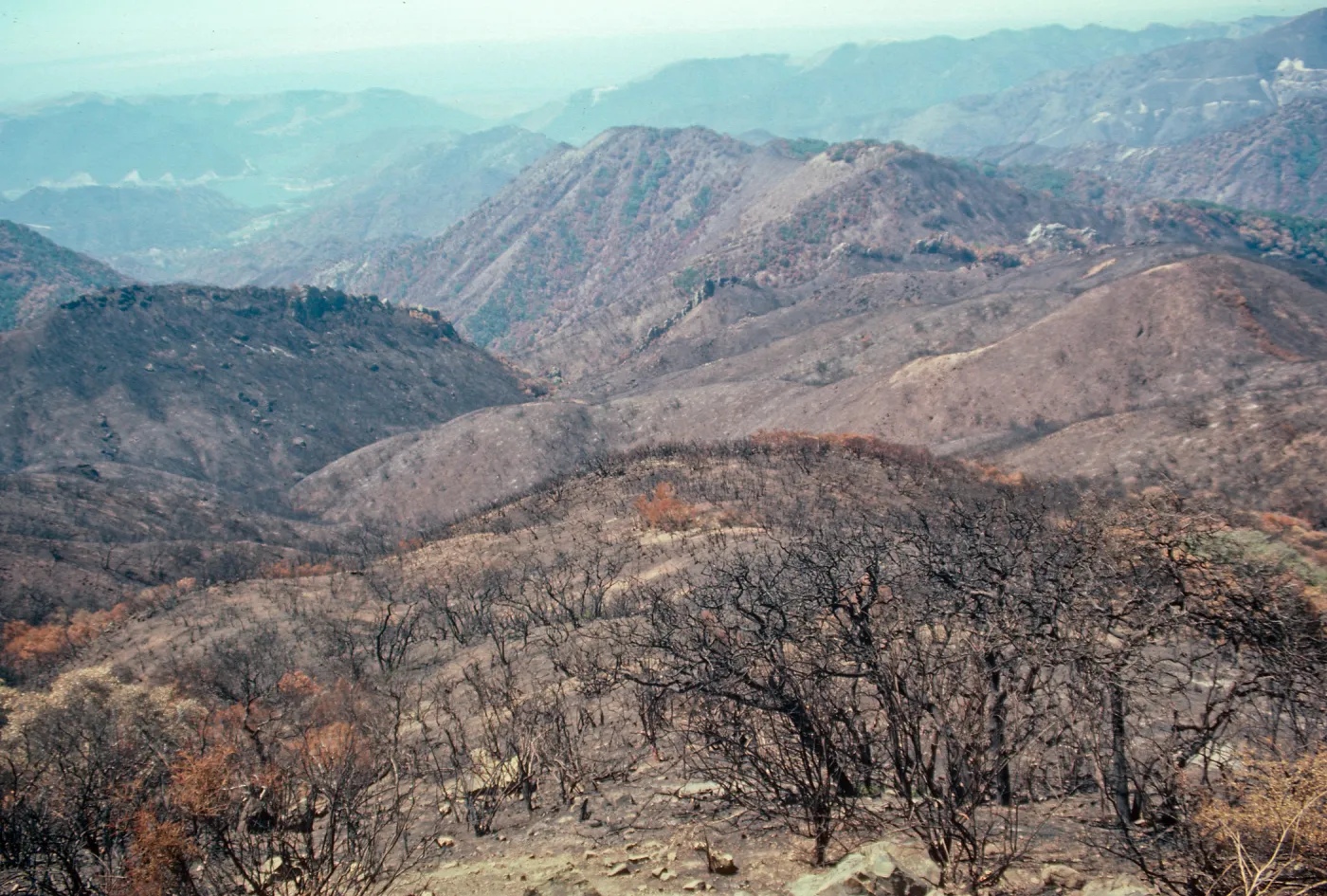 San Luis Obispo