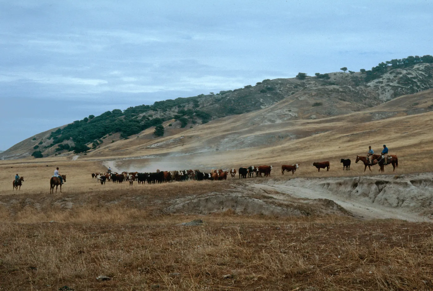 Santa Rosa Island