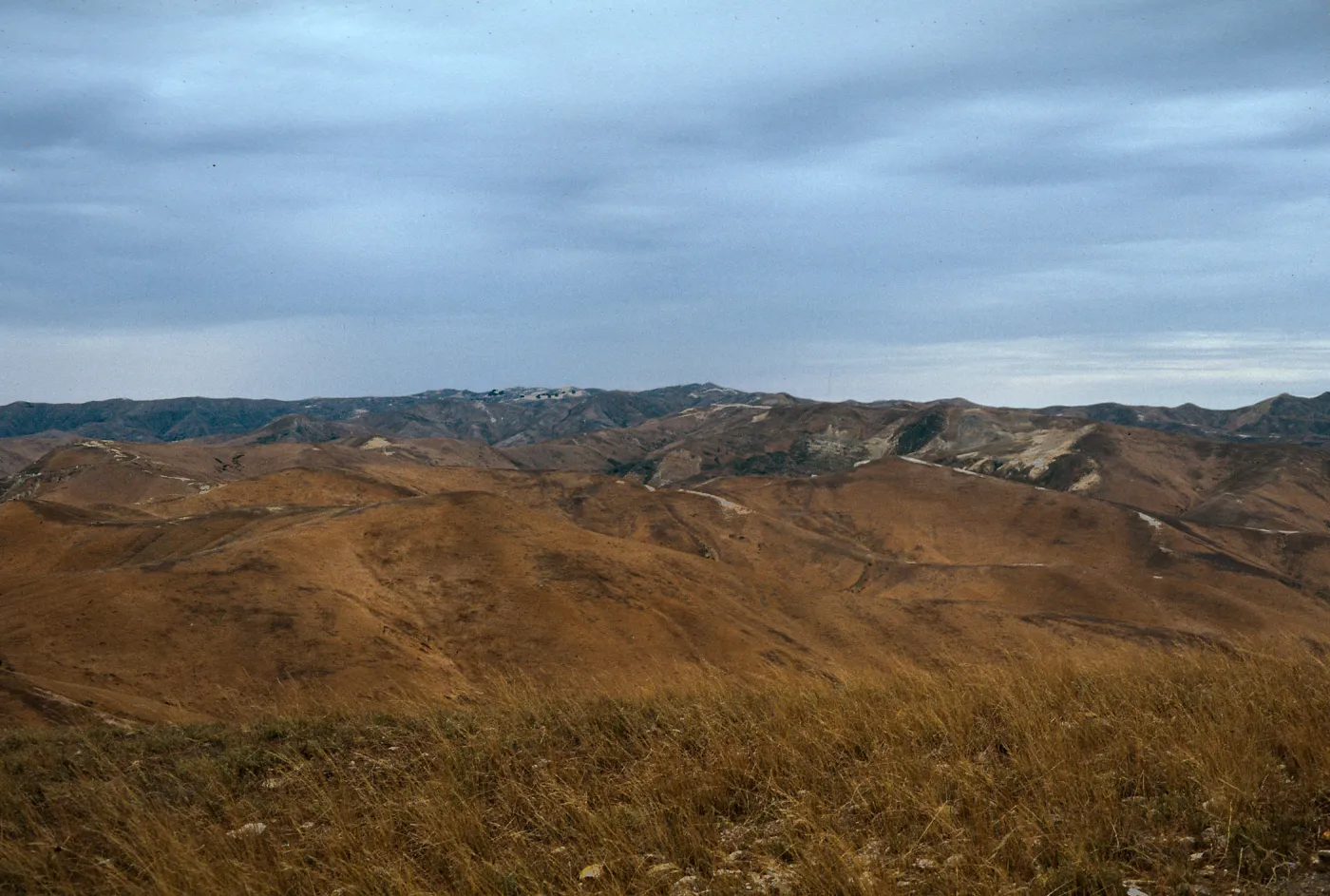 Santa Rosa Island
