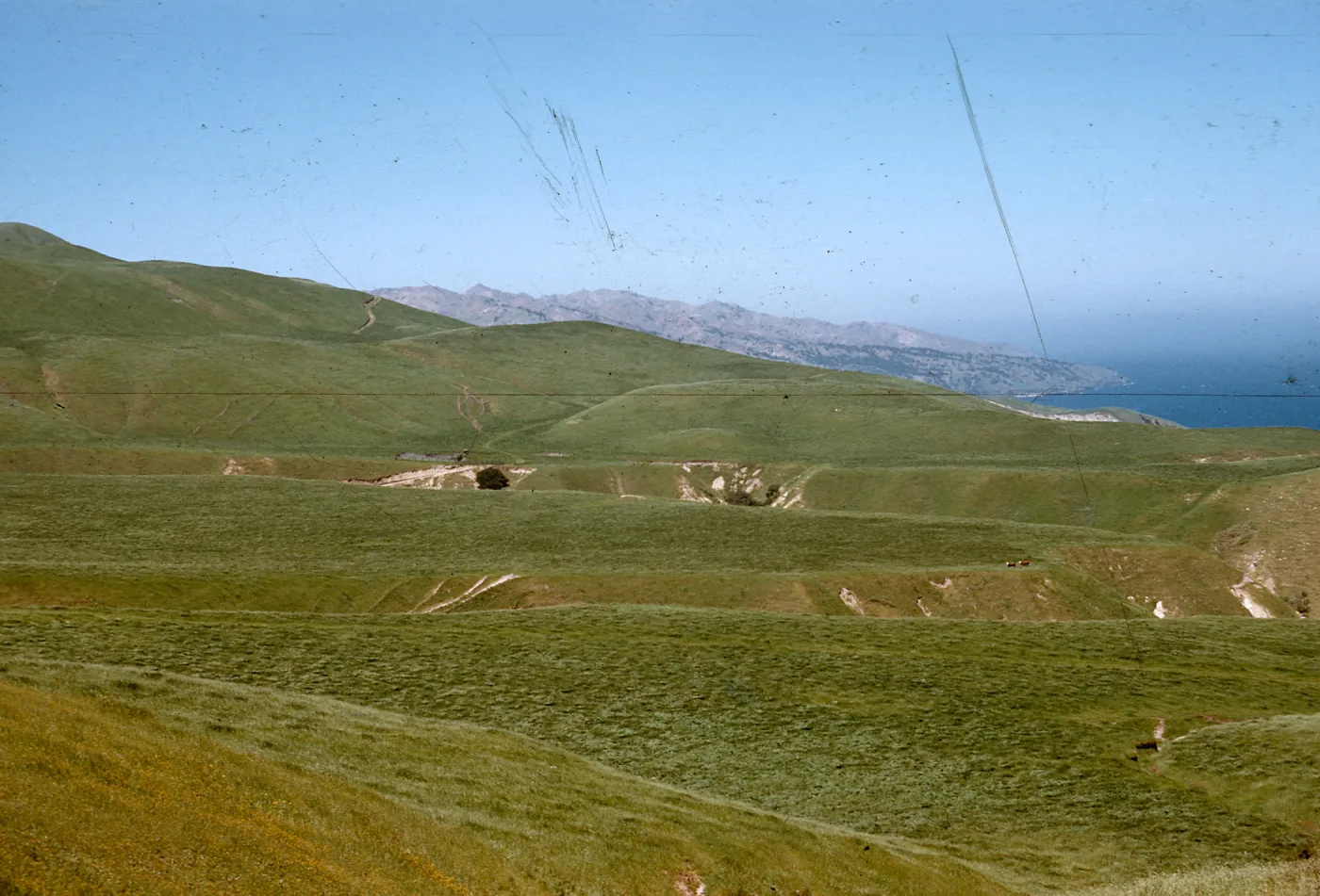 Santa Cruz Island