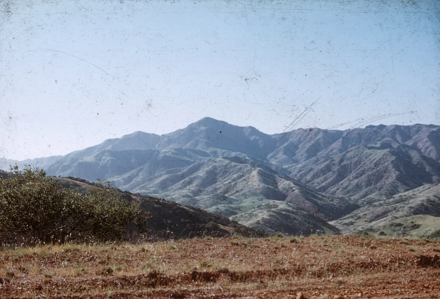 Santa Cruz Island