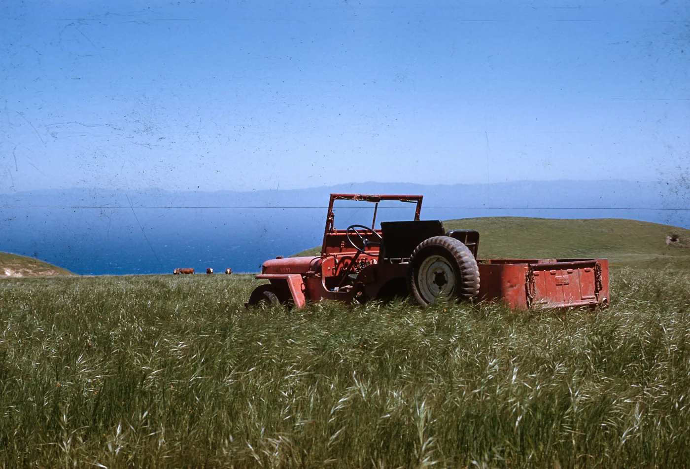 Santa Cruz Island