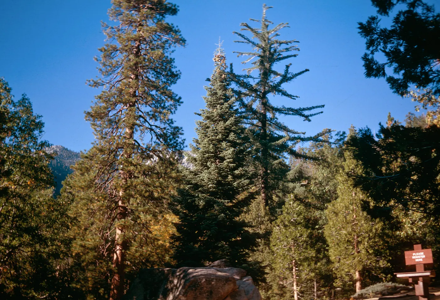 Idyllwild, California - Sept. 1967, N.W. Baker