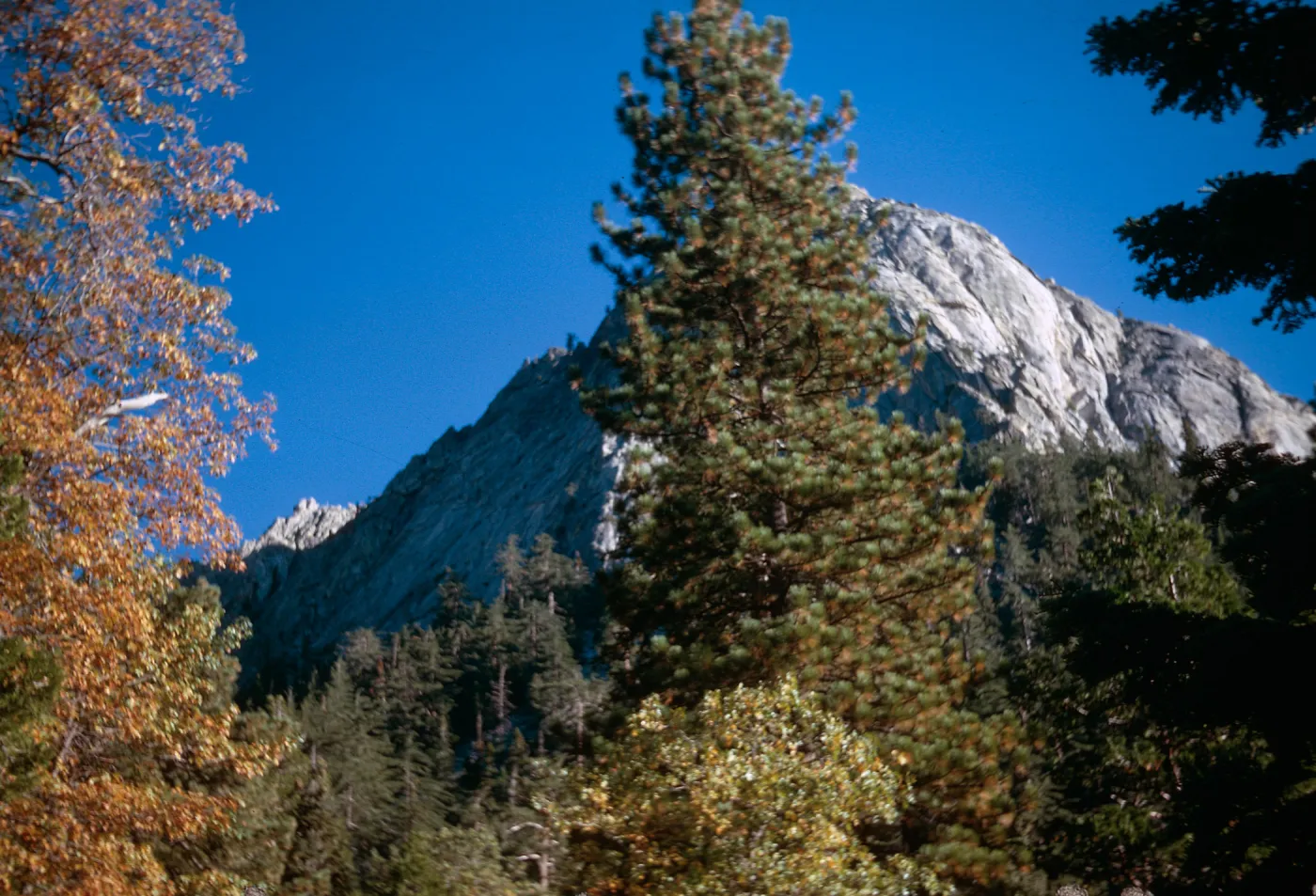 Idyllwild, California - Sept. 1967, N.W. Baker