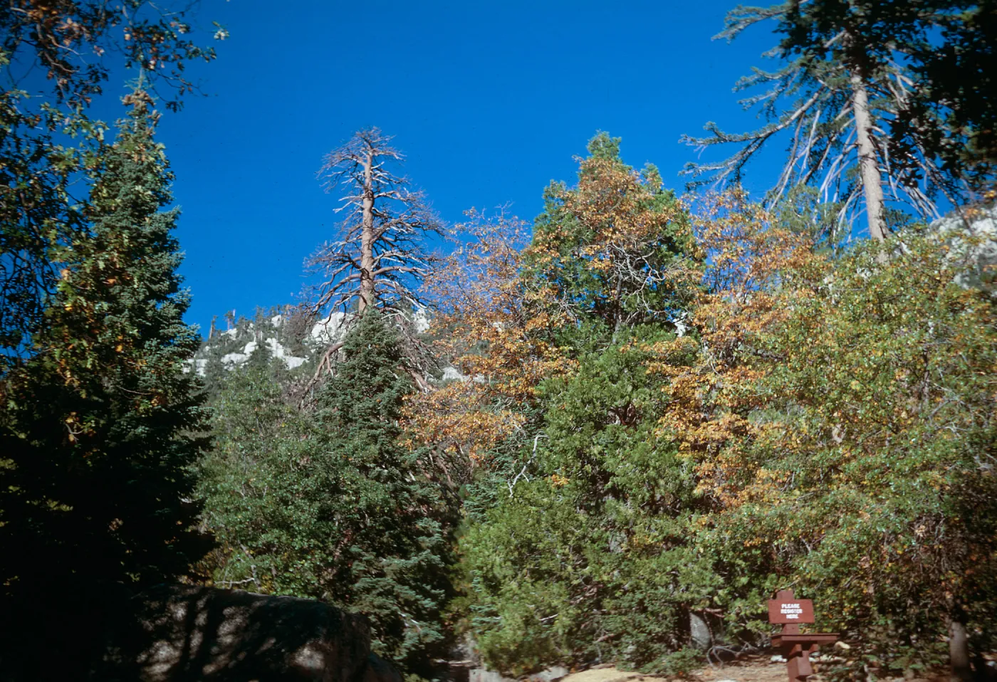 Idylwild, California - Sept. 1967, N.W. Baker