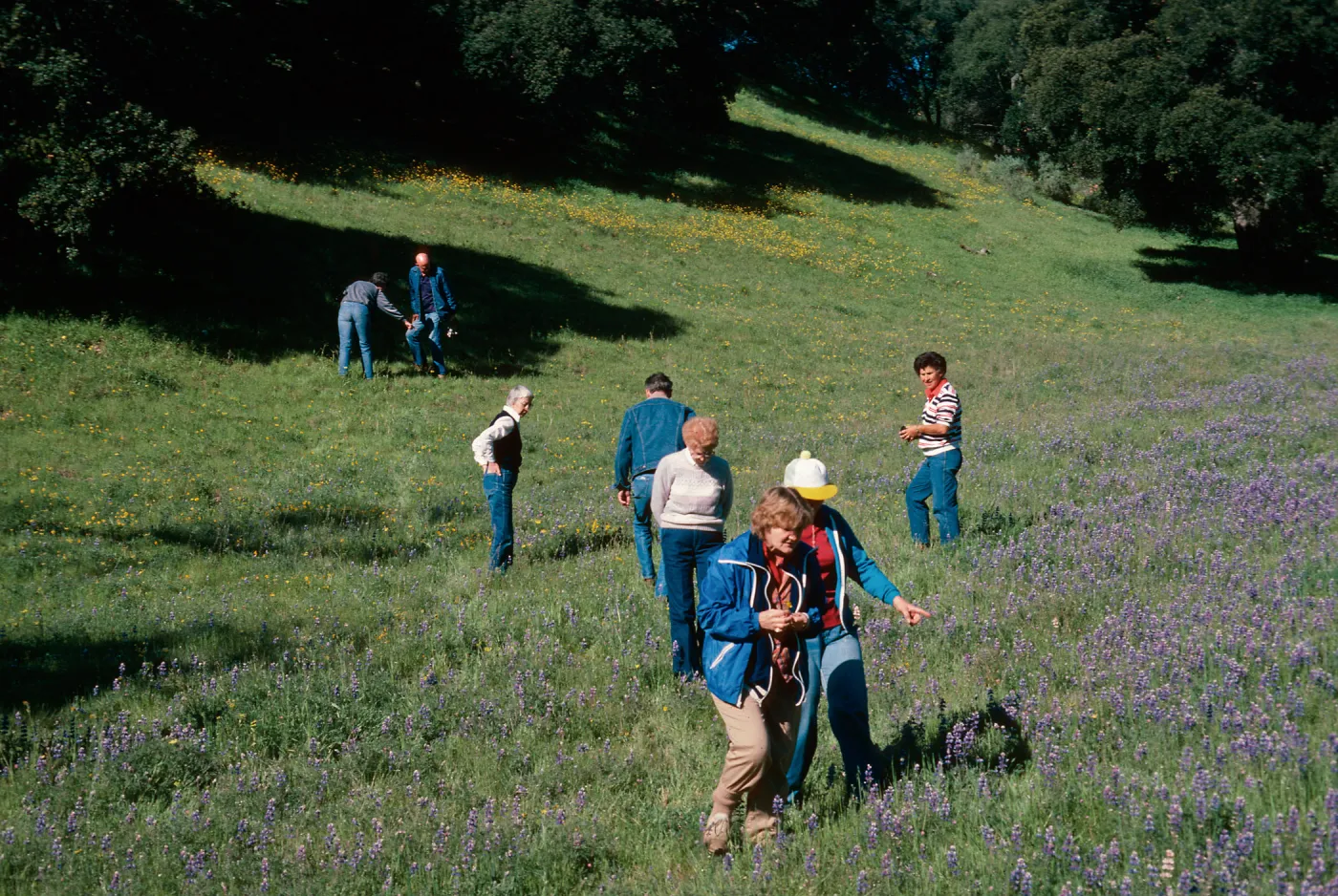Chamberlain Ranch