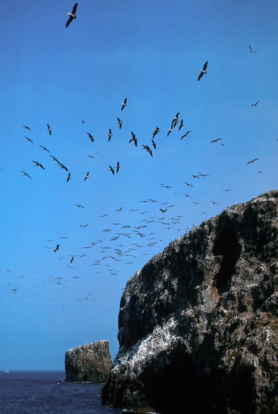 Anacapa Island