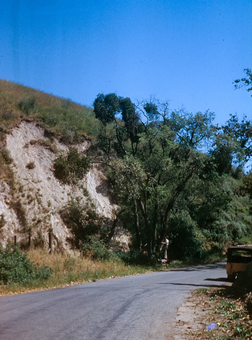 Refugio