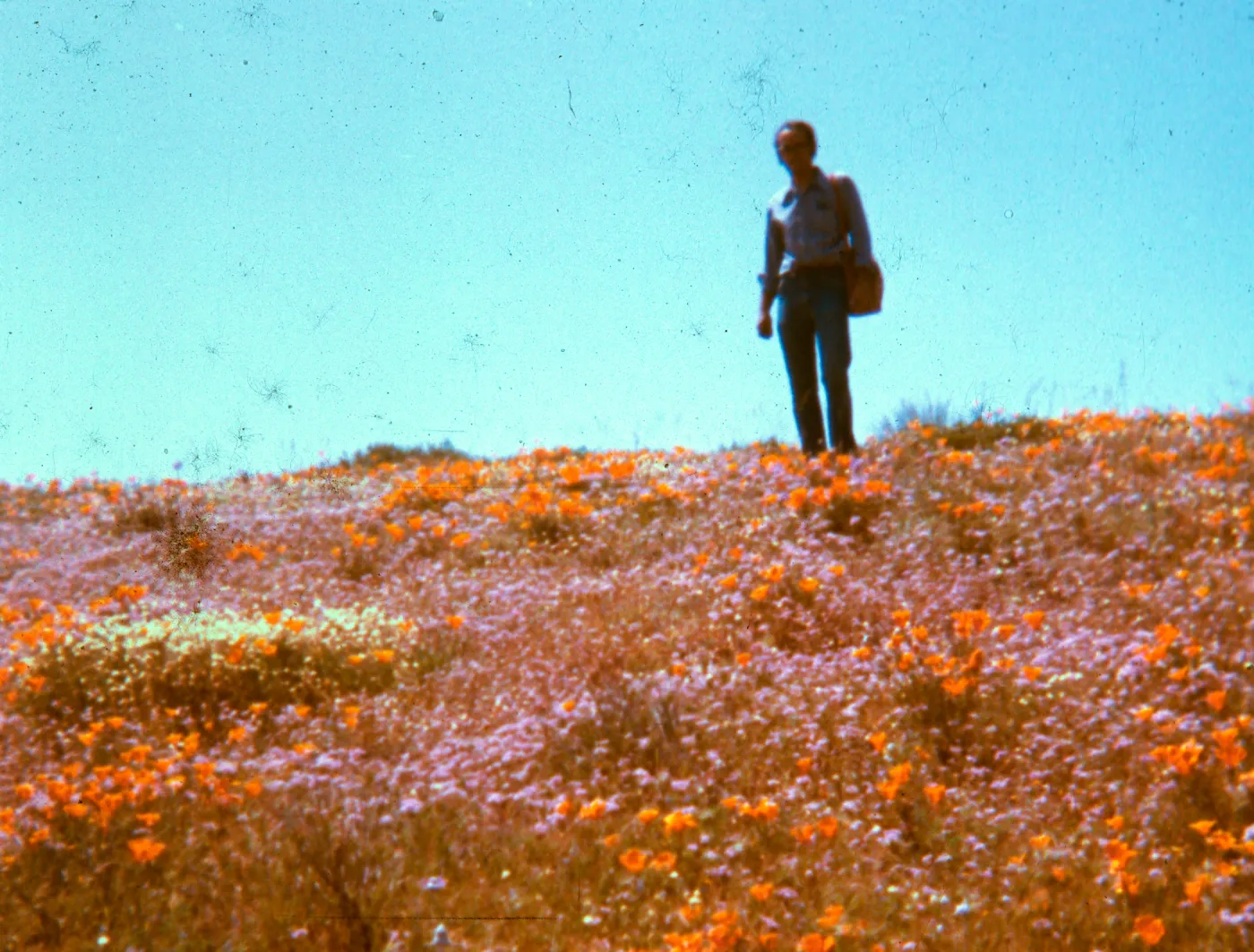 De La Guerra, '73