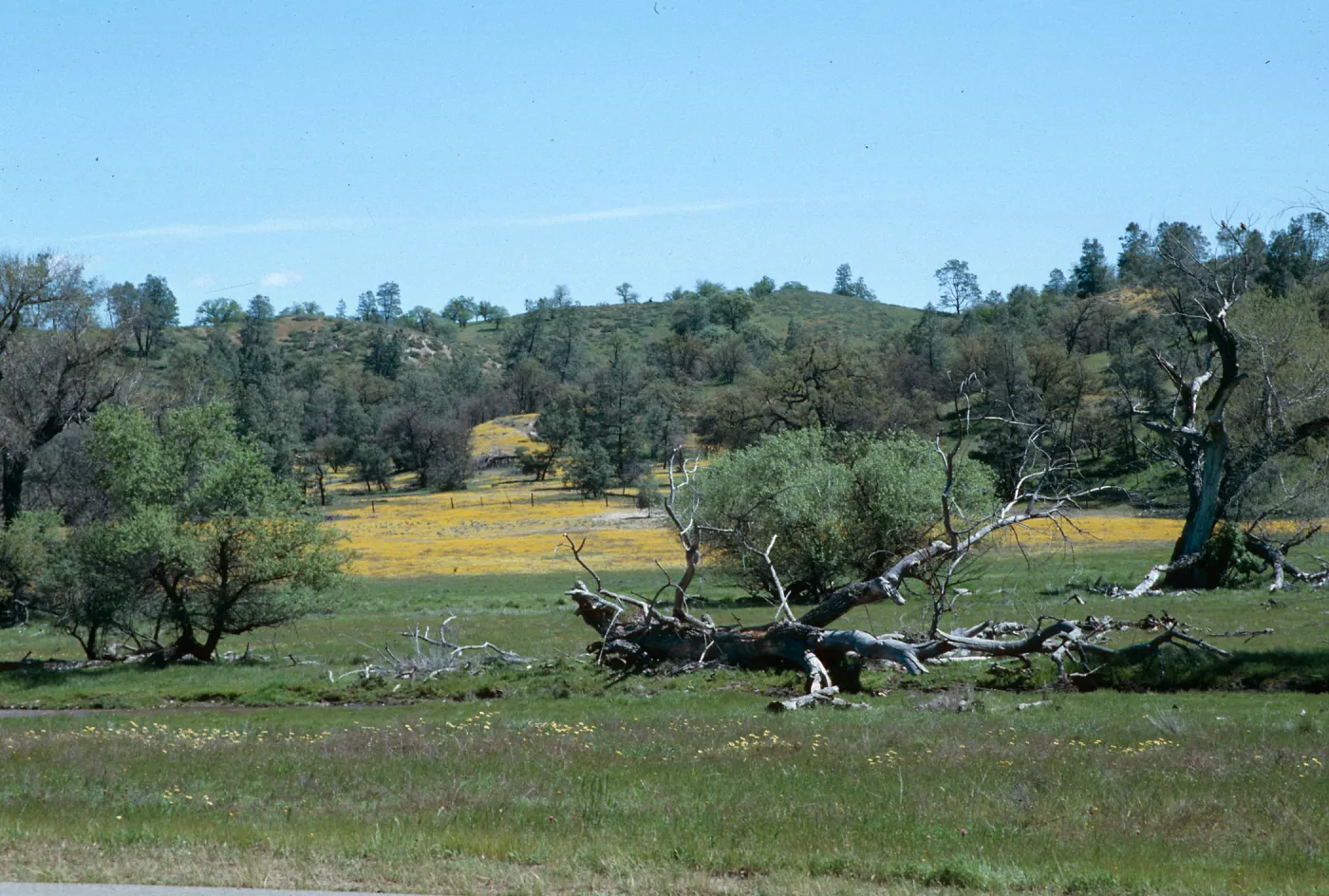Shell Creek