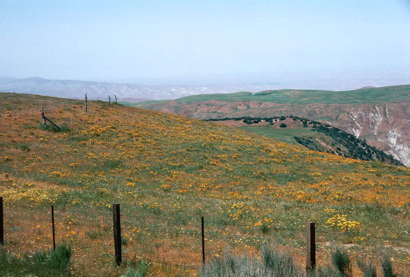 Abel looking East