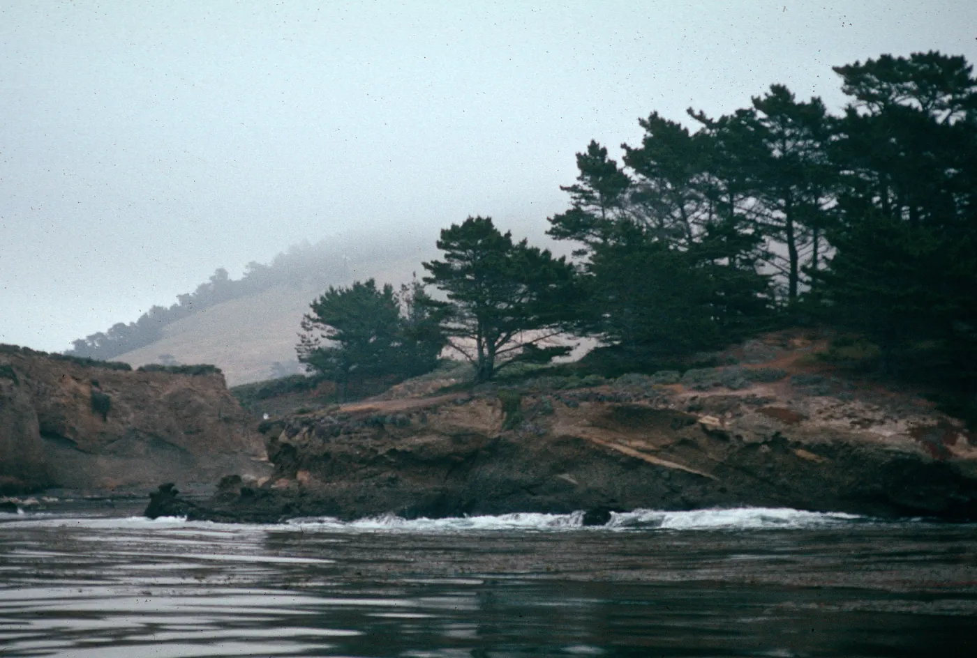 Pt. Lobos