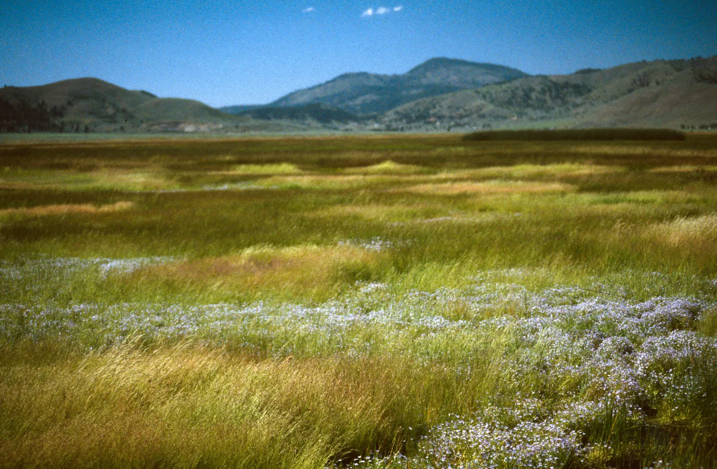 Sierra Valley