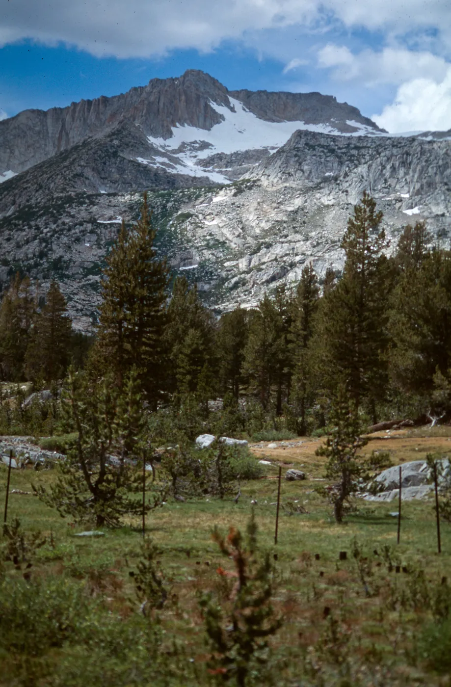 Carnegie, Alpine site, Hall Nat. area