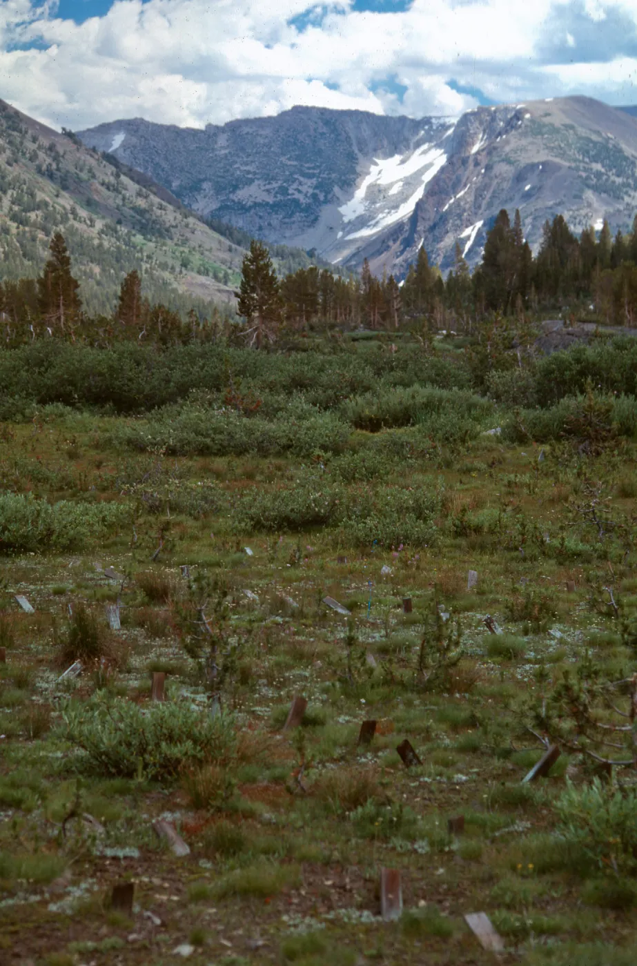 Carnegie, Alpine site, Hall Nat. area