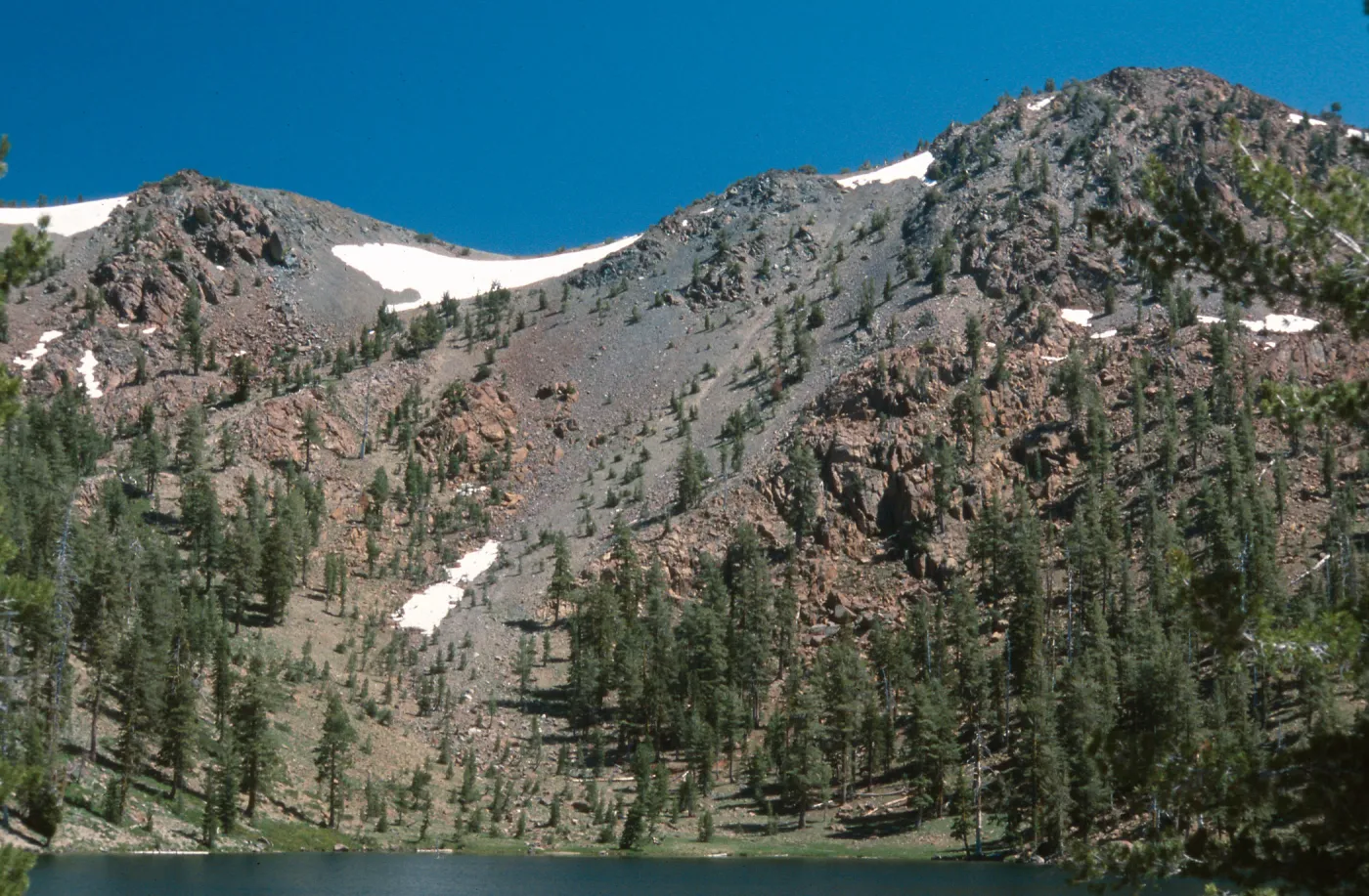 Mt. Eddy